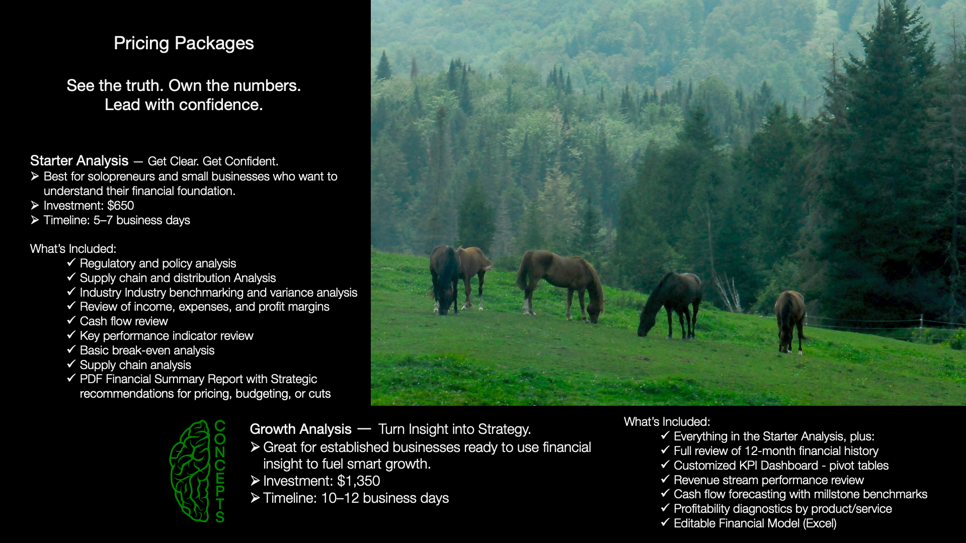 A promotional slide divided into two sections: the left section has black background with white text outlining pricing packages for business analysis and growth analysis, including details such as investment costs, timelines, and what's included; the right section shows a scenic landscape with green fields, trees, and grazing horses on a hillside.