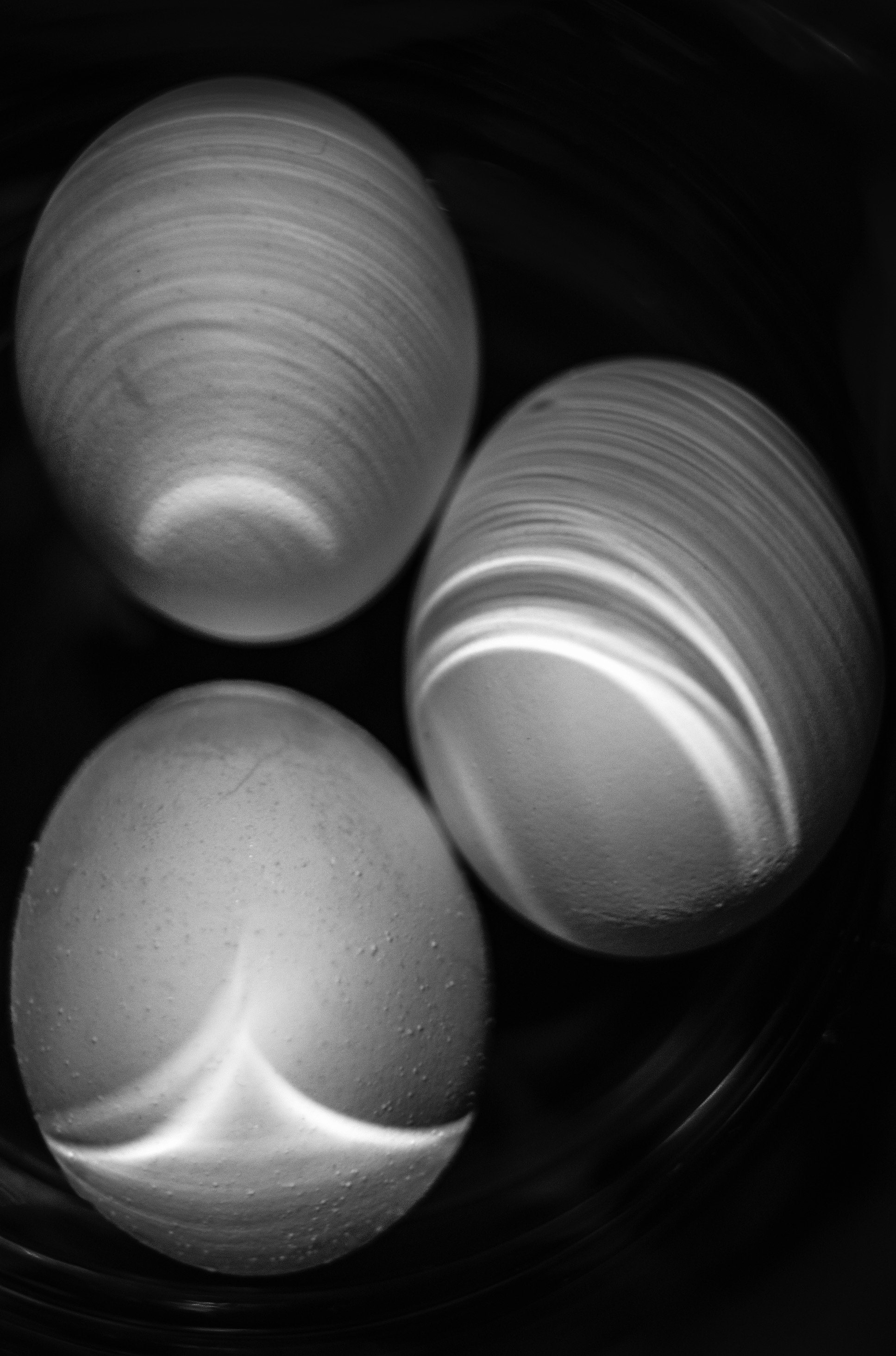Black and white close-up of three eggs in a dark container.