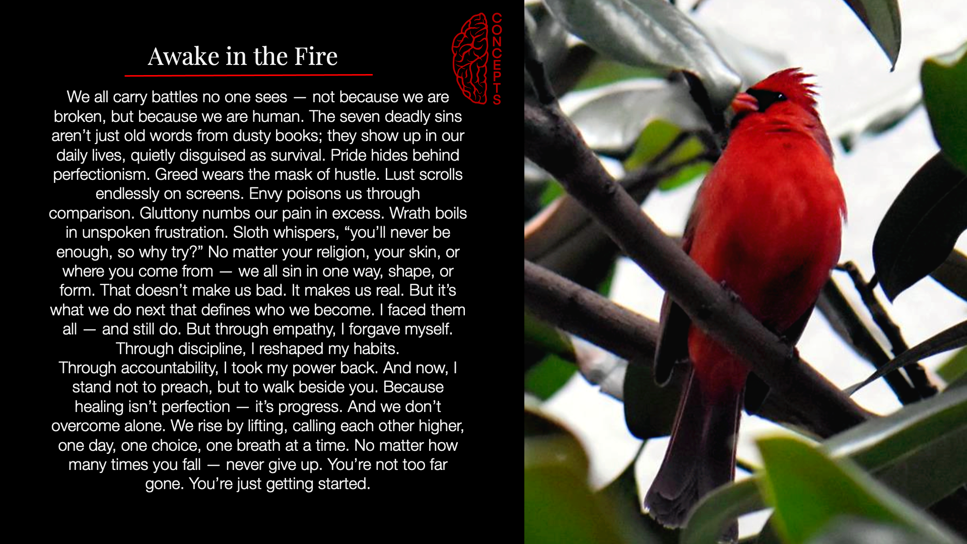 A poster titled 'Awake in the Fire' with a red cardinal bird perched on a branch next to green leaves, and text about human struggles and resilience.