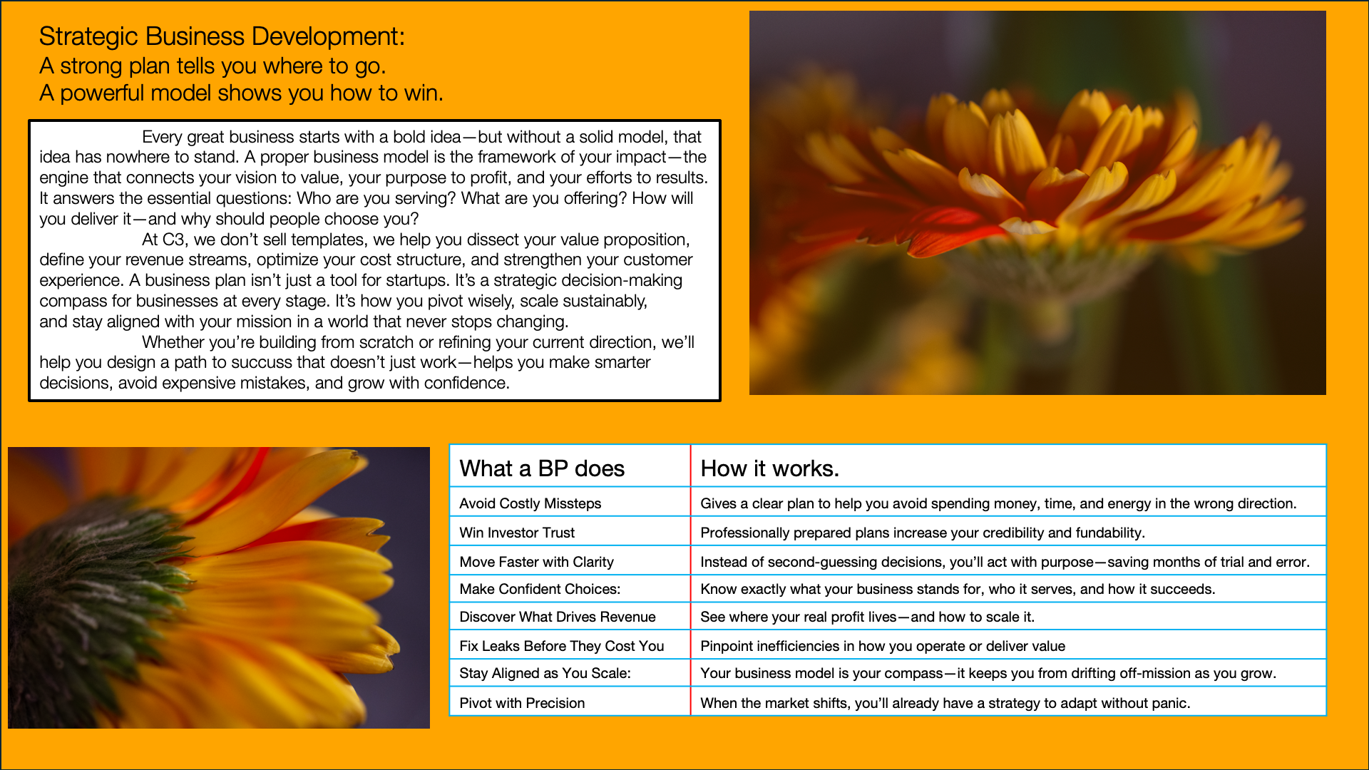 Infographic about strategic business development with a yellow background, featuring text, a close-up orange and yellow flower, and a chart explaining what a business plan does and how it works.