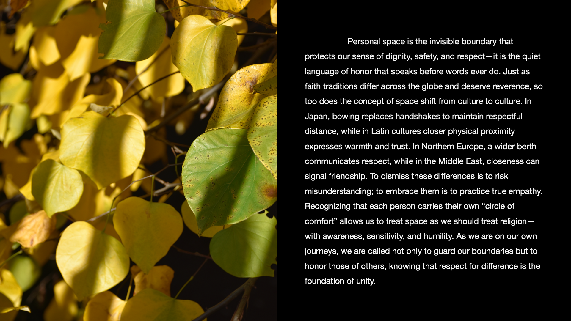 Close-up of yellow and green autumn leaves on branches, with a black overlay of text about personal space, cultural differences, and respecting boundaries.