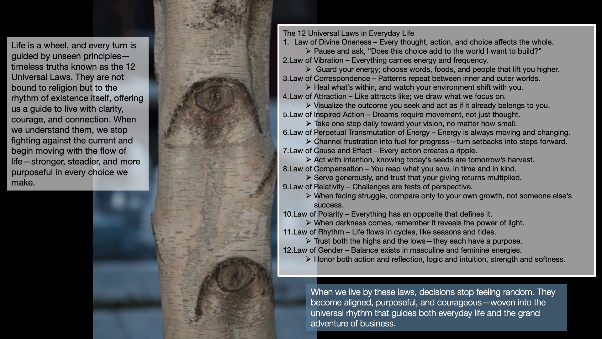 A tree trunk with three knots, adjacent to a panel of text listing the 12 Universal Laws in everyday life, including descriptions of each law. Additional text at the bottom explains that living by these laws results in purposeful and courageous decisions, guiding everyday life and business.