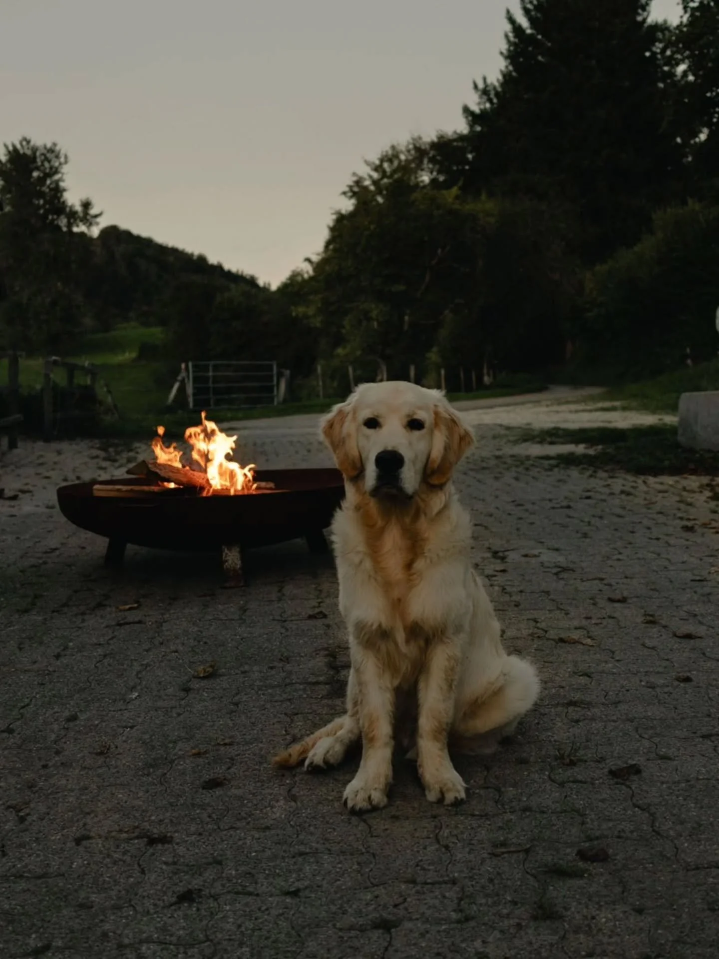 Une soir&eacute;e de fin d'&eacute;t&eacute; &agrave; La Vaux. On mesure chaque jour la chance de vivre dans ce paradis 💫