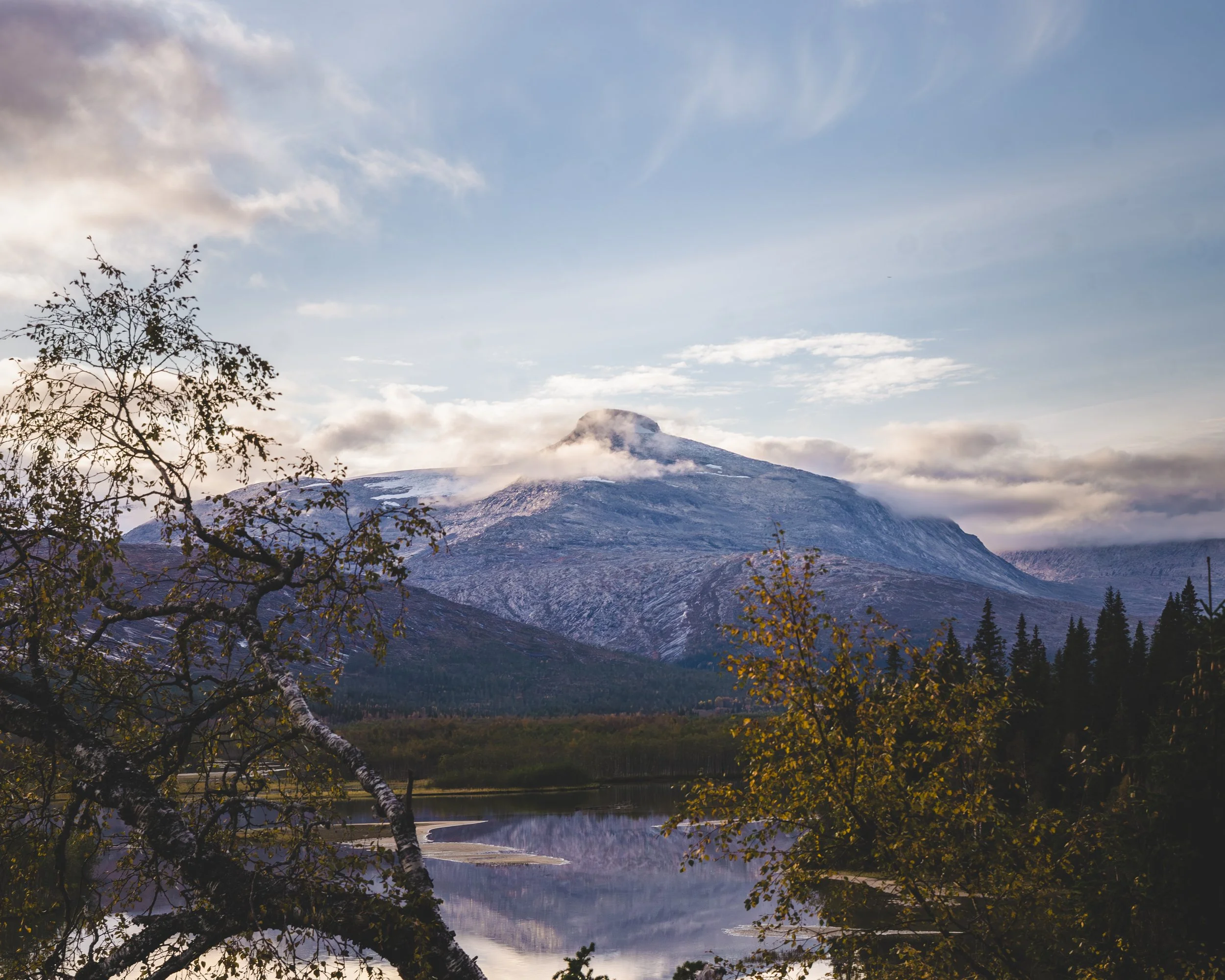 nordland thomas hammer-.jpg