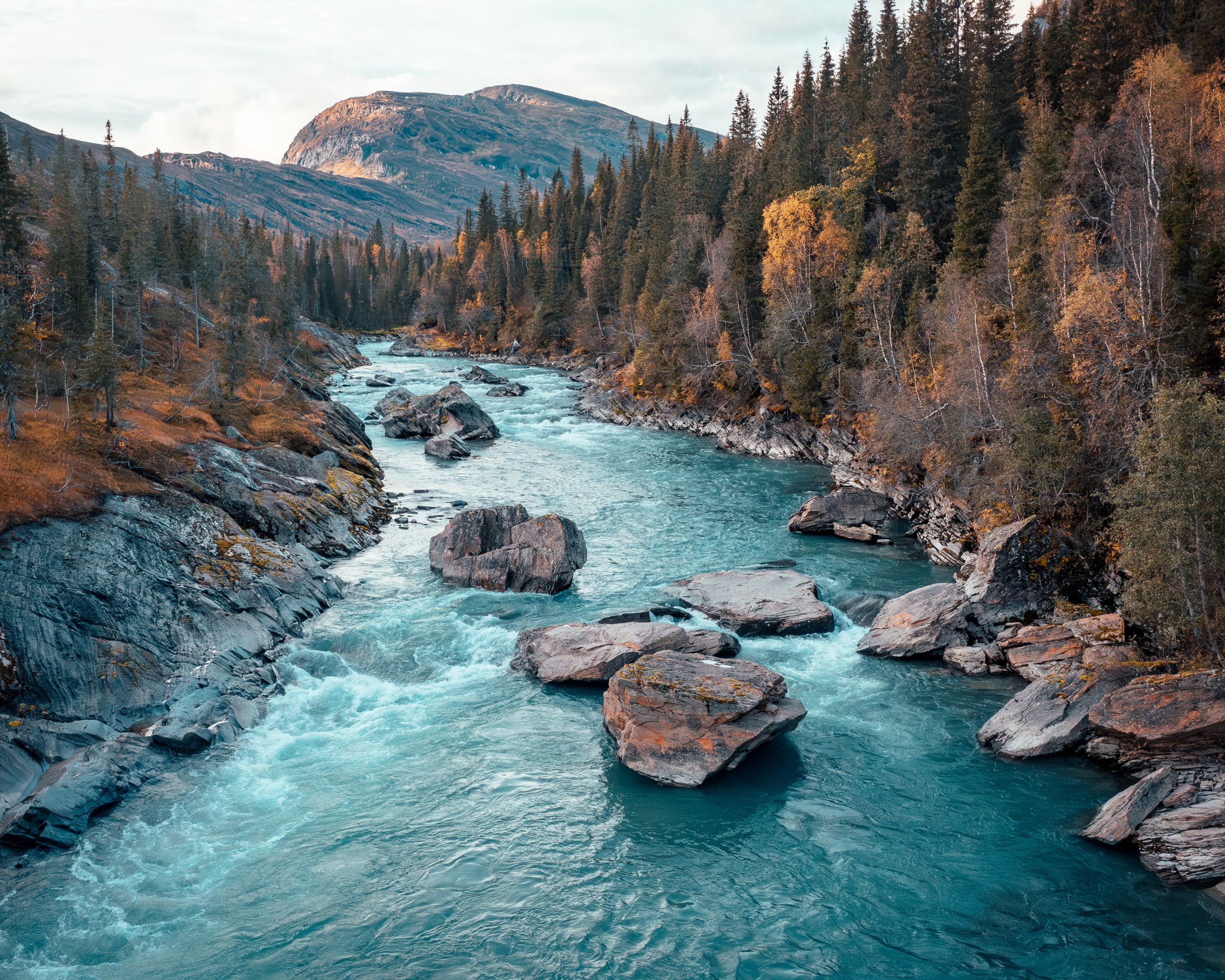 nordland thomas hammer--4.jpg