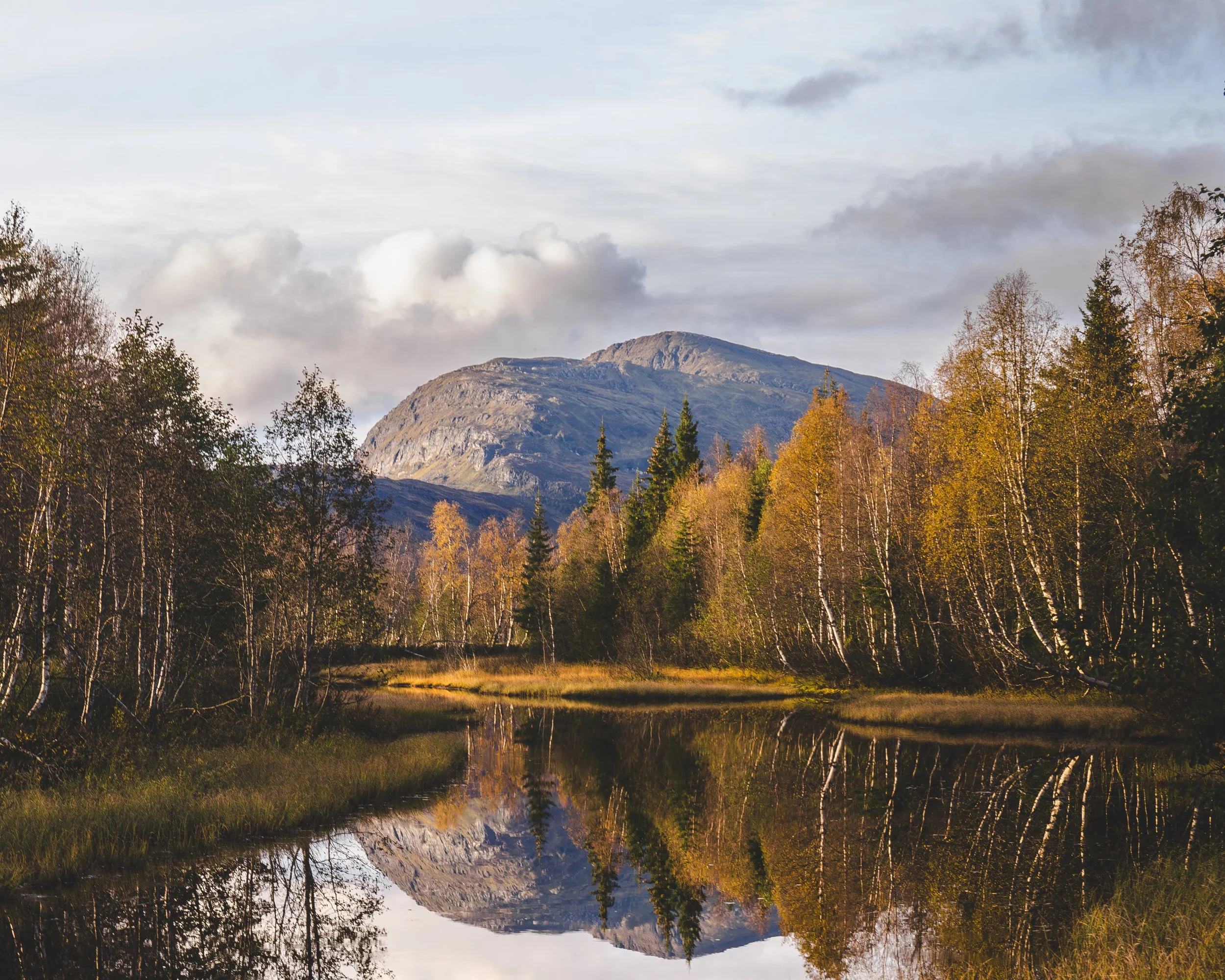 nordland thomas hammer--2.jpg
