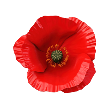 Public Holiday (ANZAC Day)