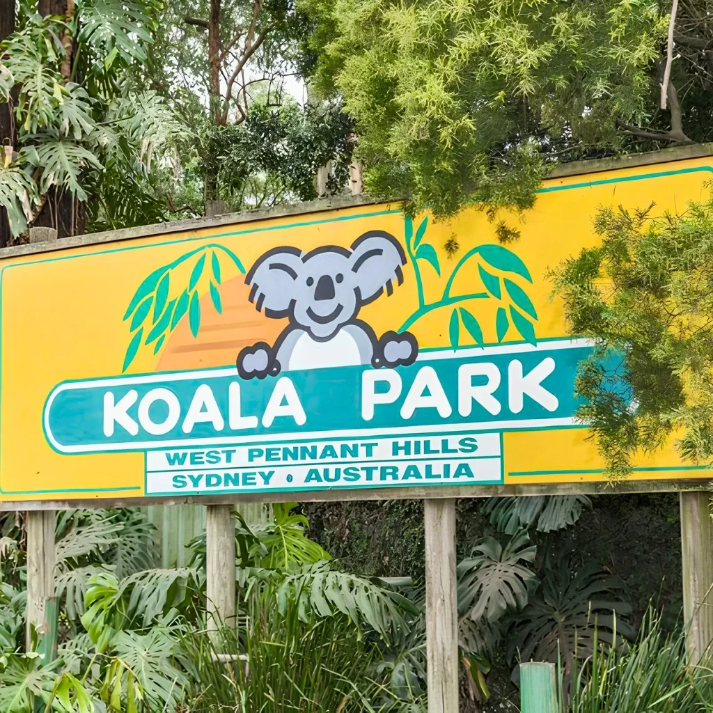 Koala Park Sanctuary Outing