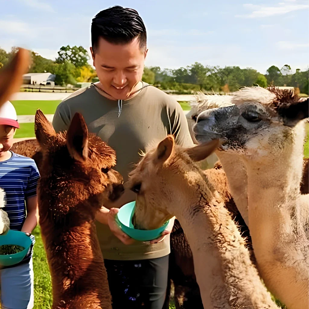 Alpaca Meet & Greet