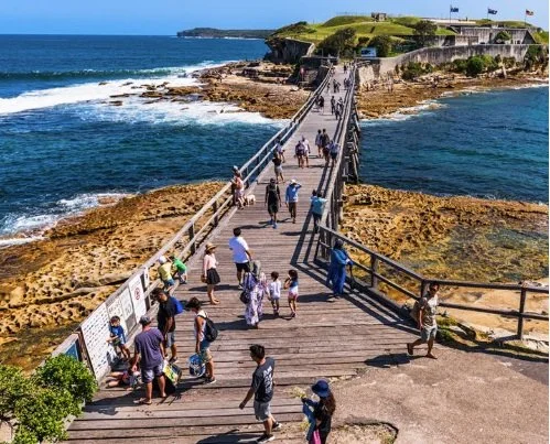Bare Island Walk and Lunch