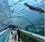 Sydney Aquarium