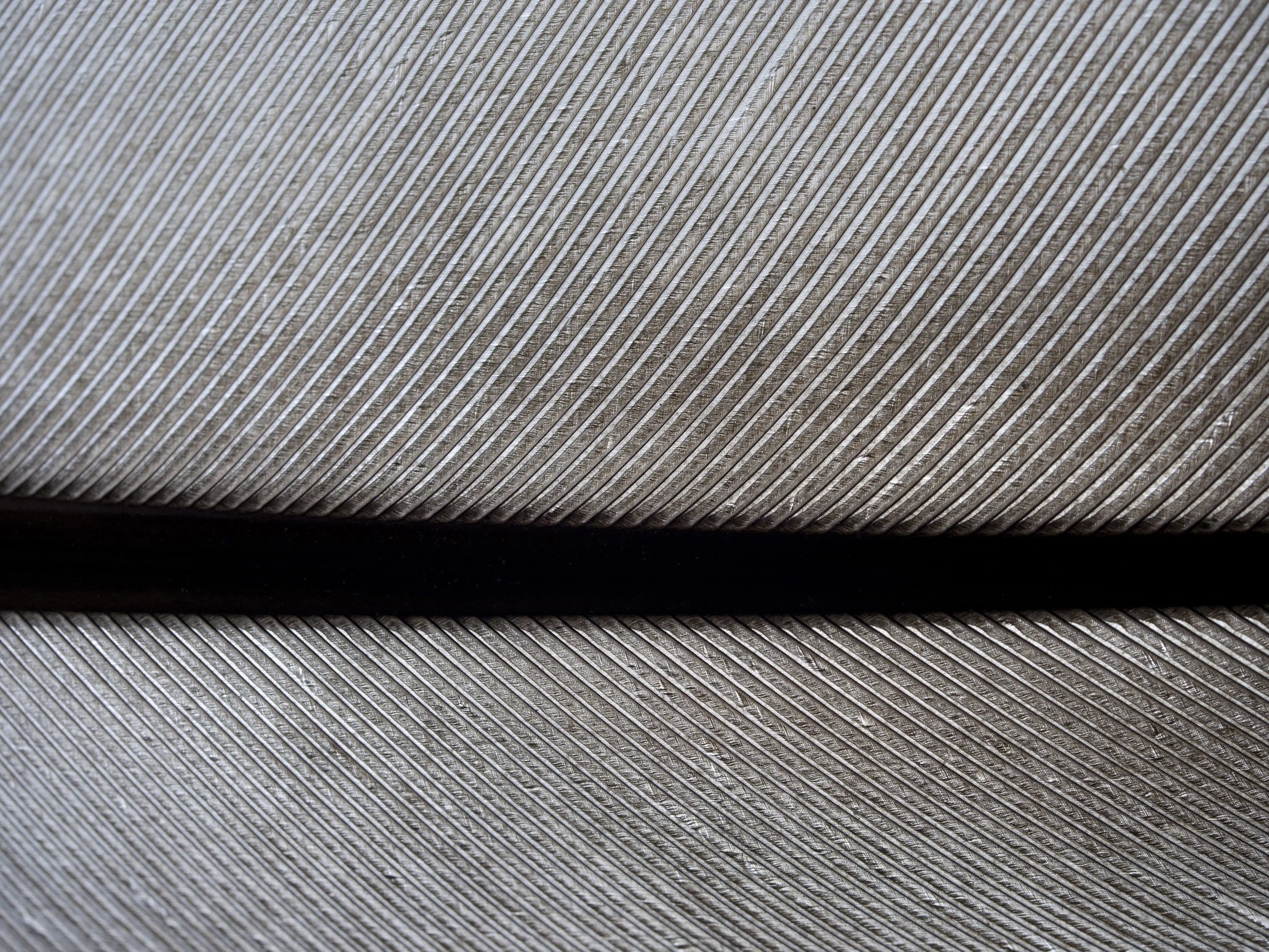 OTHER 40.jpg