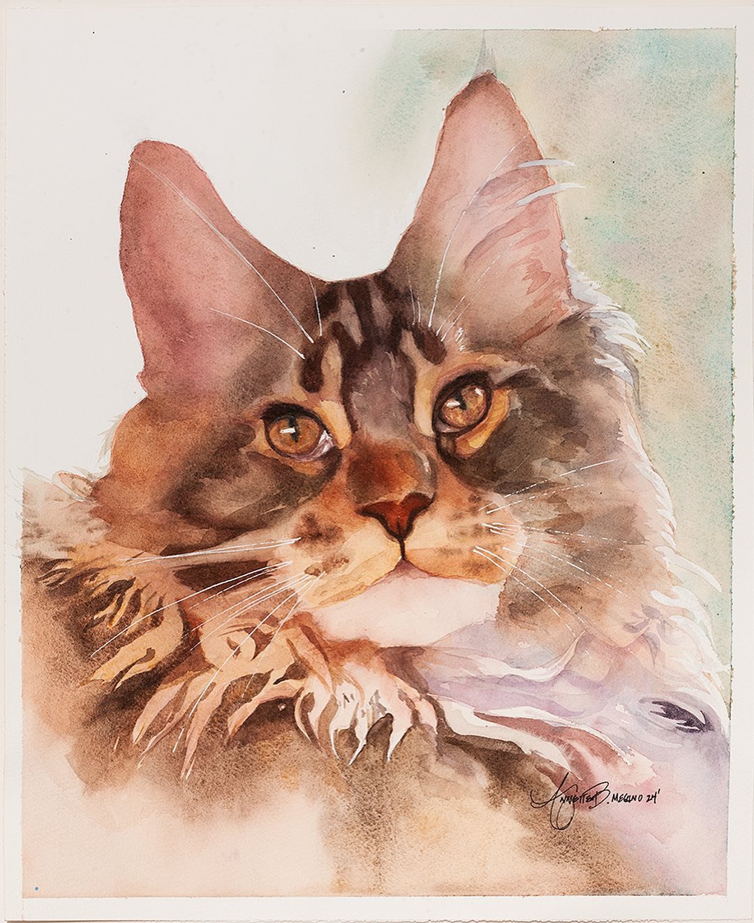 This is Chewie a stunning Maine Coon. Painted in watercolor &hellip;
&hellip;
&hellip;
#catsofinstagram #maincoon #watercolorpainting #watercolorportrait