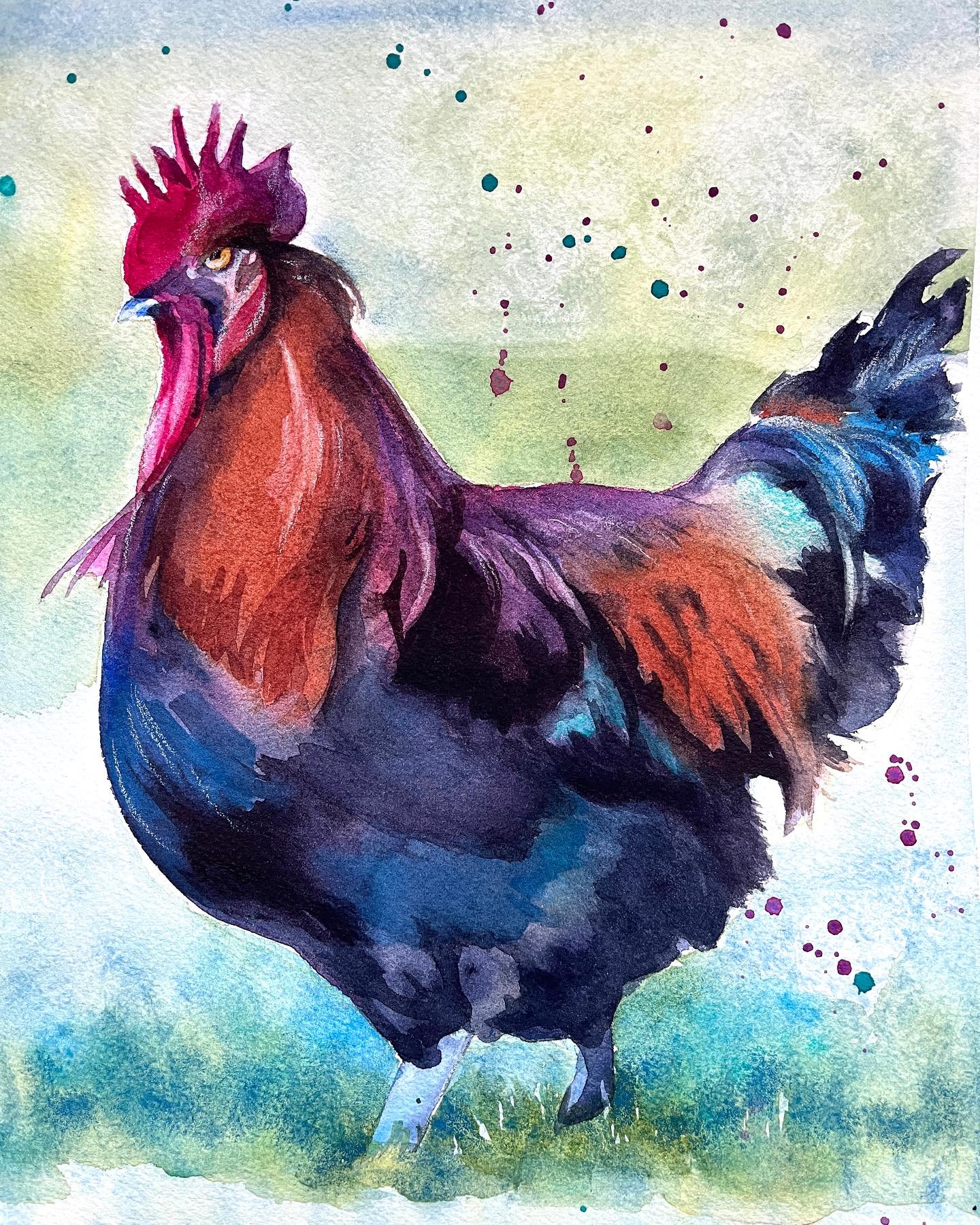 Oooo, how I love the colors of Roosters.
.
.
.
#watercolorpainting #portraitpainting #roosters