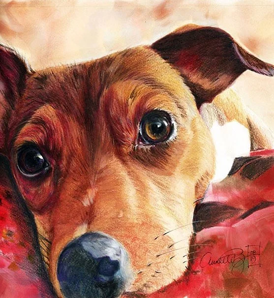 Wouldn&rsquo;t you just fall in love with this face? Meet Snickers, my sister and brother-in-law&rsquo;s sweet girl. Painting her was such a joy and her portrait now hangs proudly in their dining room, a reminder of all the love she brings. With the 