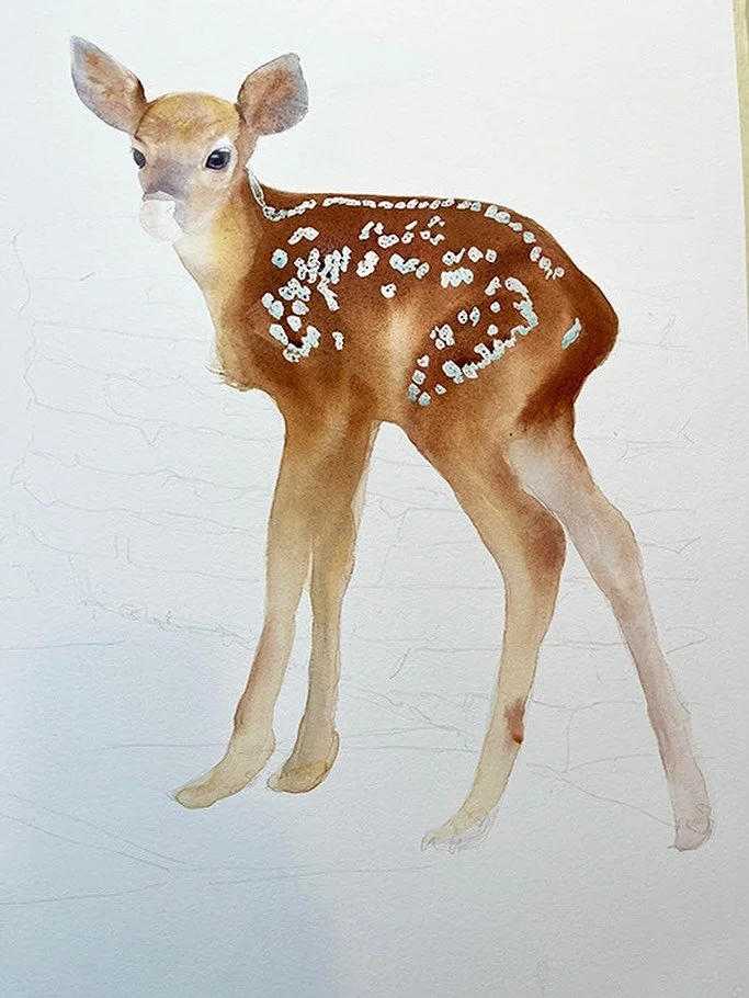 A newborn fawn stole my heart&ndash;and my painting table.
My son grabbed this shot of her wobbling down our walkway, her tiny legs barely holding her up. Later that night, she somehow ended up in our garage, curled between two gas cans, quietly call