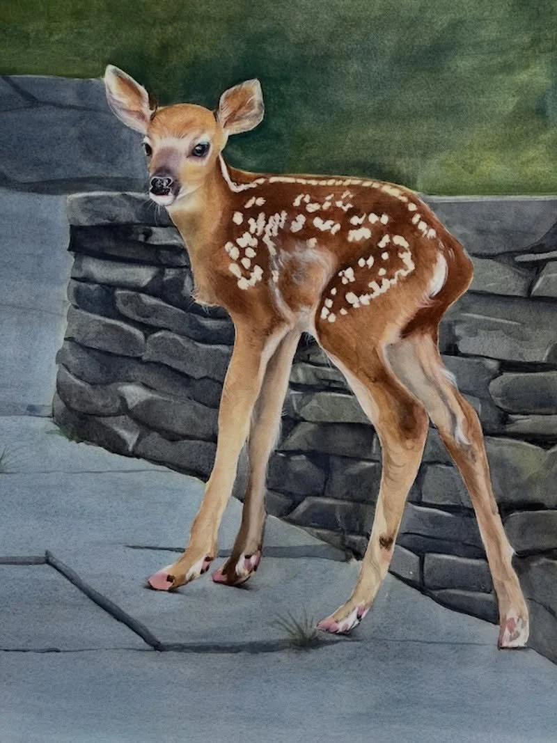 Meet the little fawn who wandered into our garage over the summer. 🧡
I finally painted her a few weeks ago&mdash;and she ended up inspiring a new wildlife series.
She&rsquo;s also my largest painting yet at 18x22 inches!

Hope she brings a bit of sw