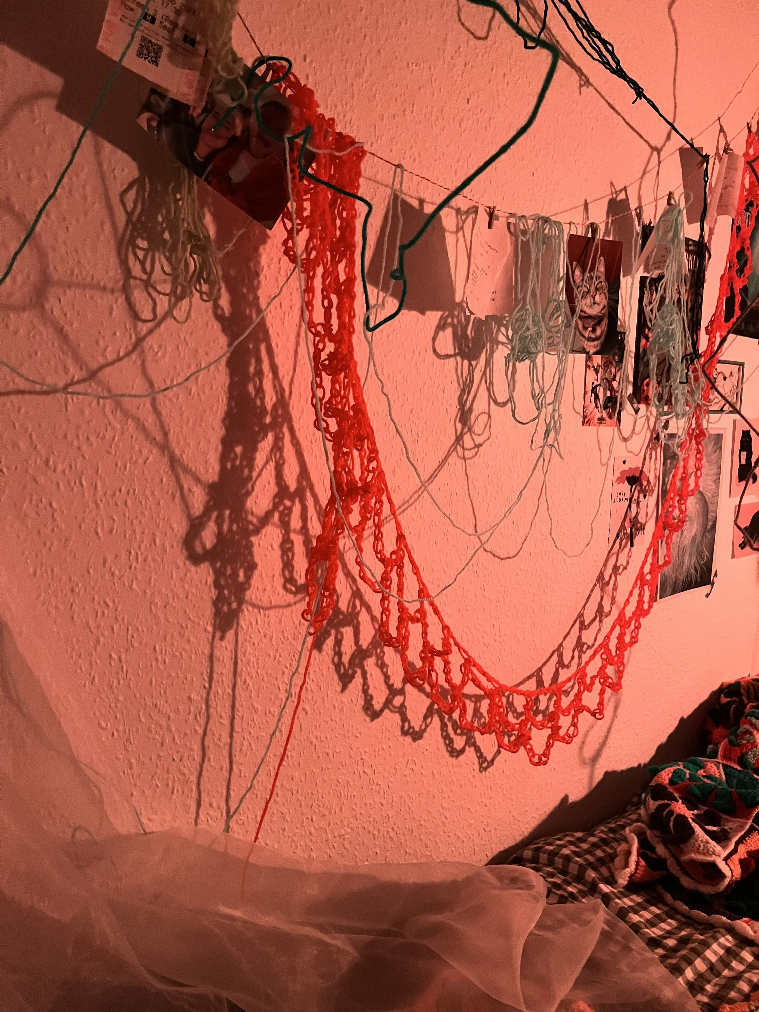 Photo 05-12-2024, 15 05 56.jpg