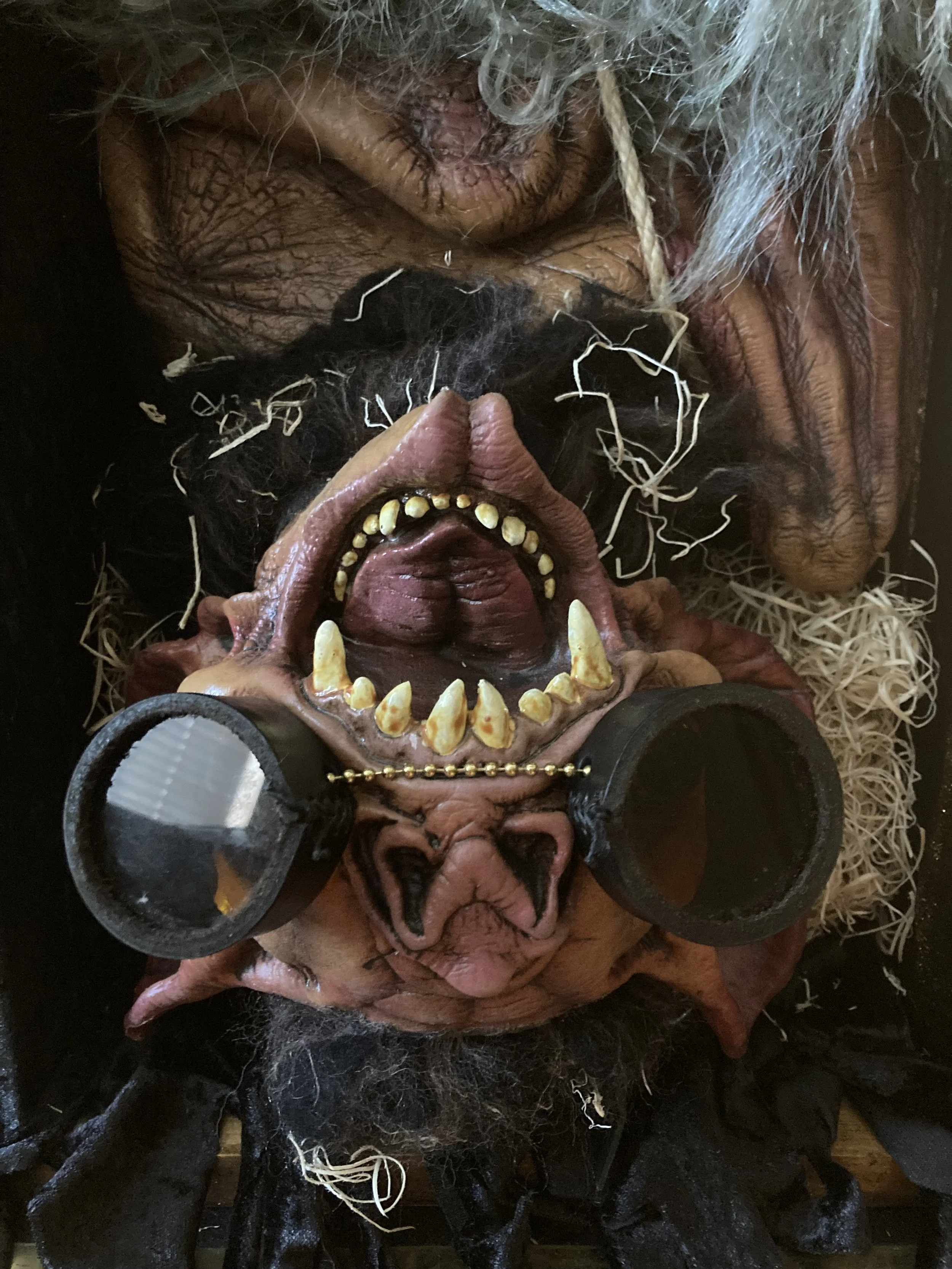 Dezzy the Desmodus bat who is in the Barnabas Collins Magic show