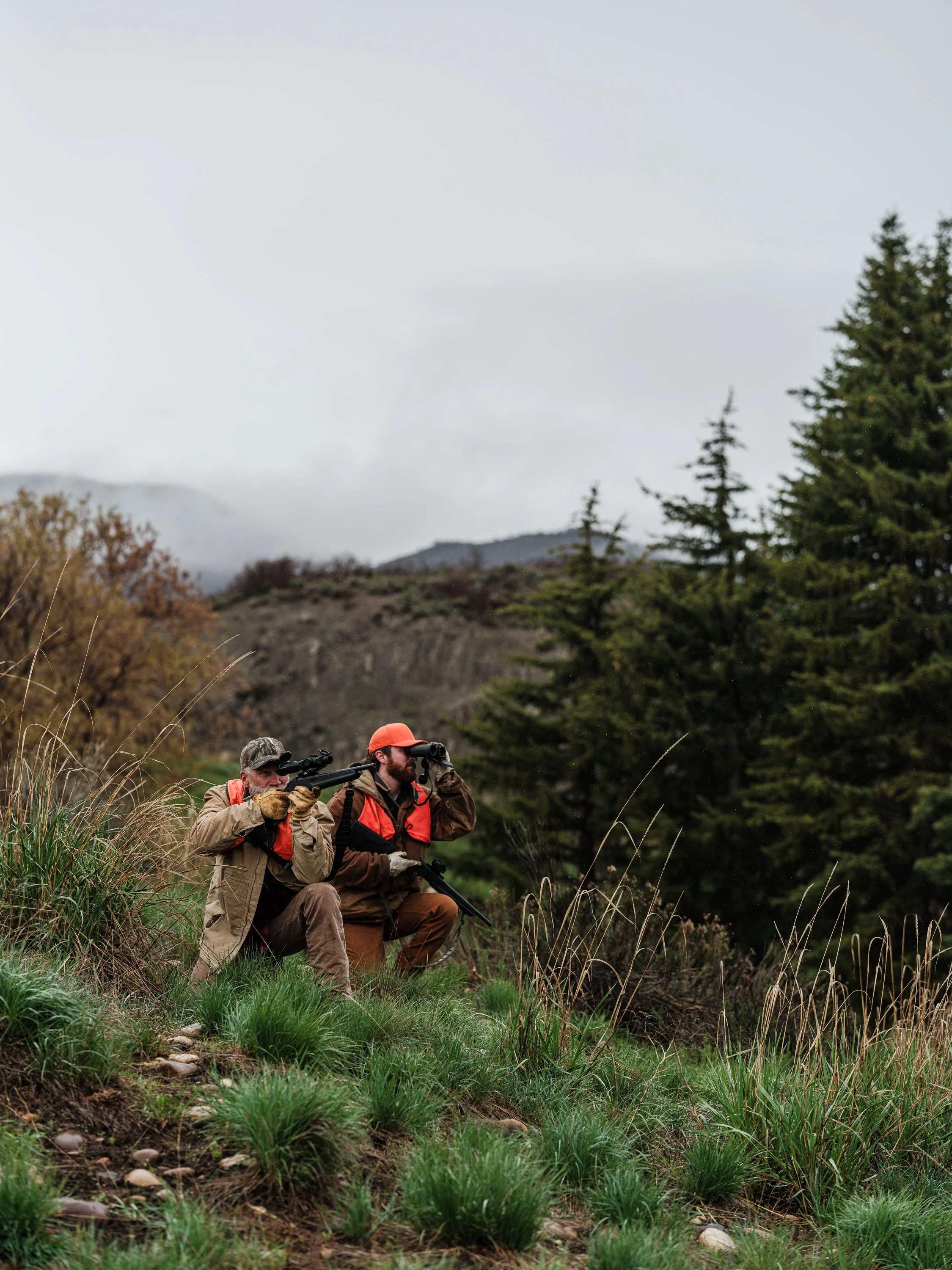 Two hunters in orange vests and caps in a grassy outdoor setting, one aiming a rifle and the other using binoculars, with trees and an overcast sky in the background.