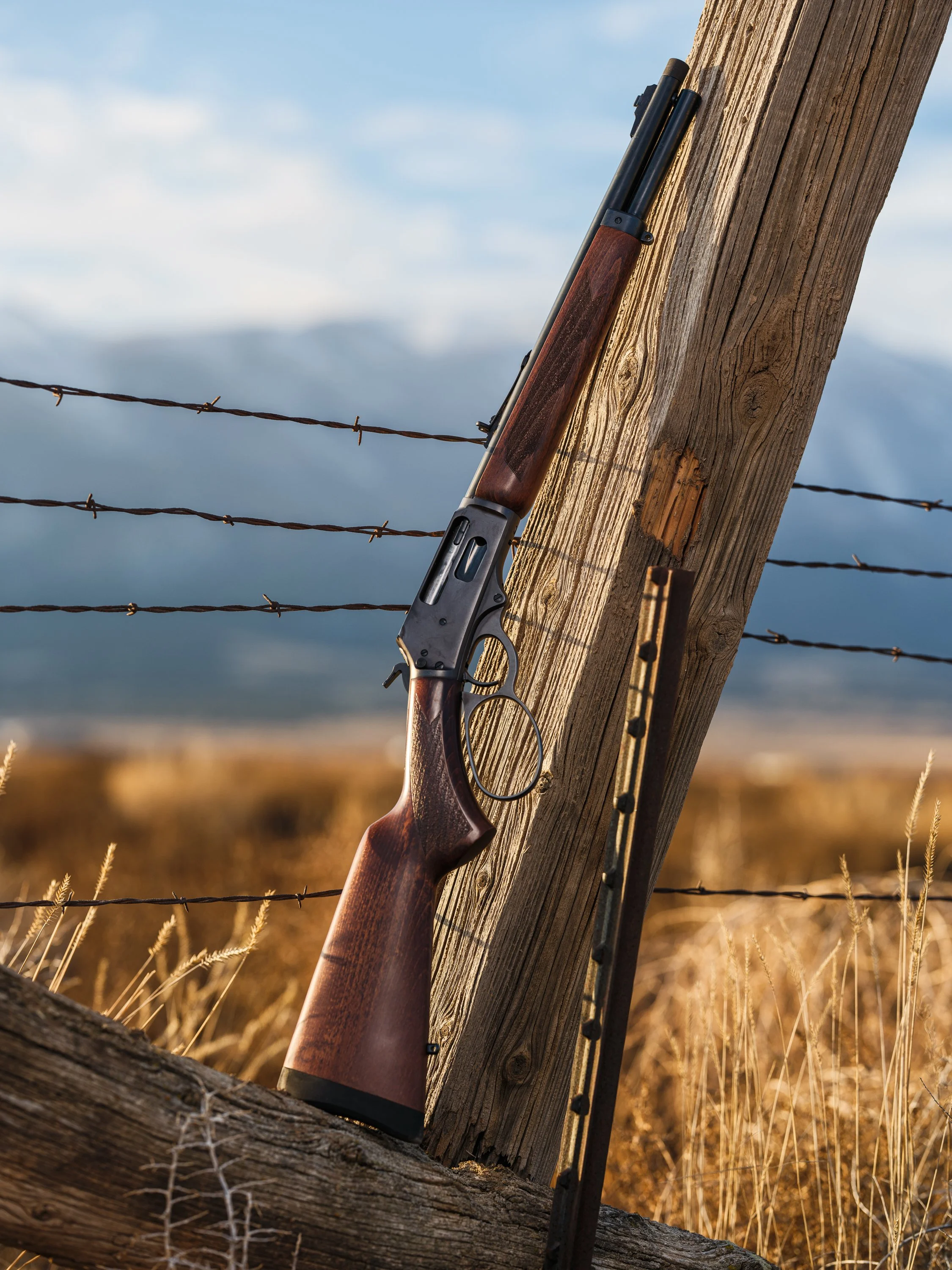 Lever-action rifle leaning against a wooden fence post in a rural landscape with barbed wire and mountains in the background.