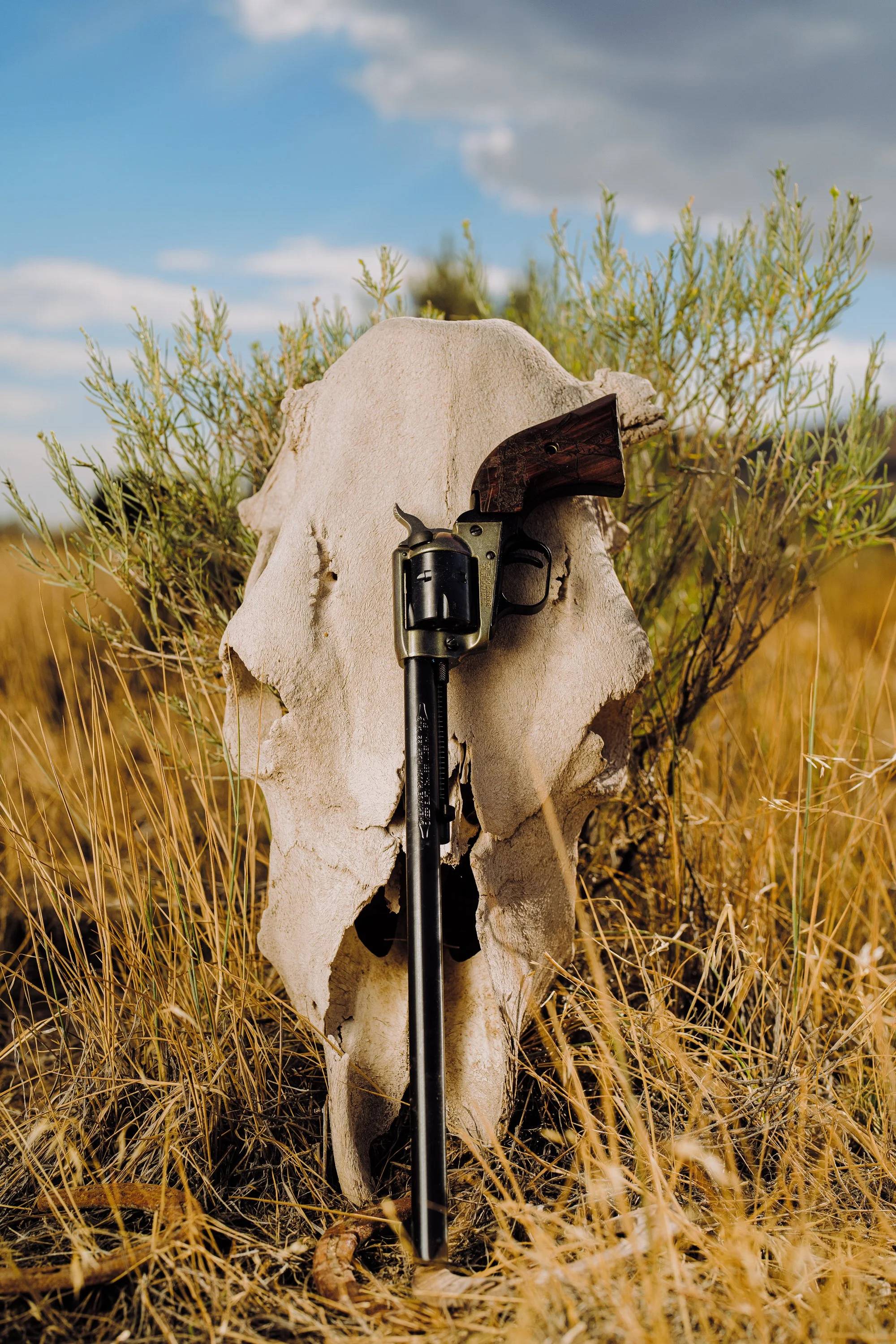Revolver resting against animal skull in grassy field