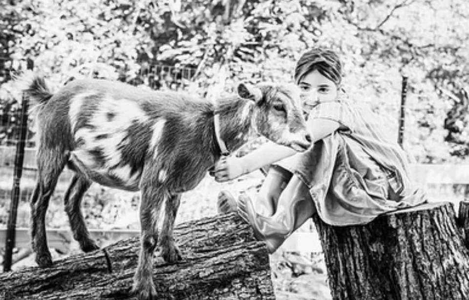 Goat Farm Photo Session