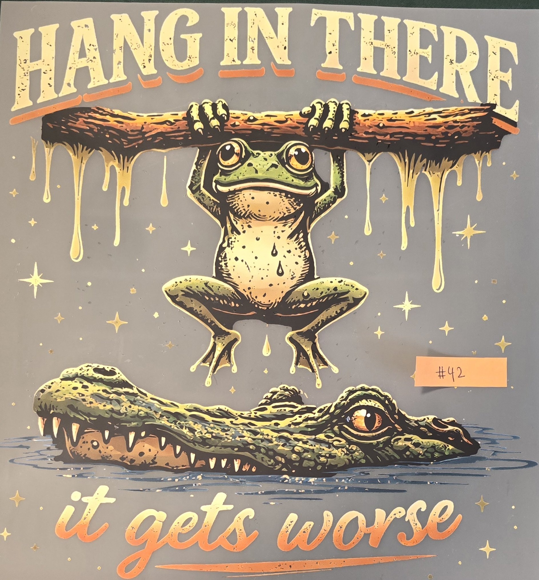 Hang in There Adult T-Shirt (D42)