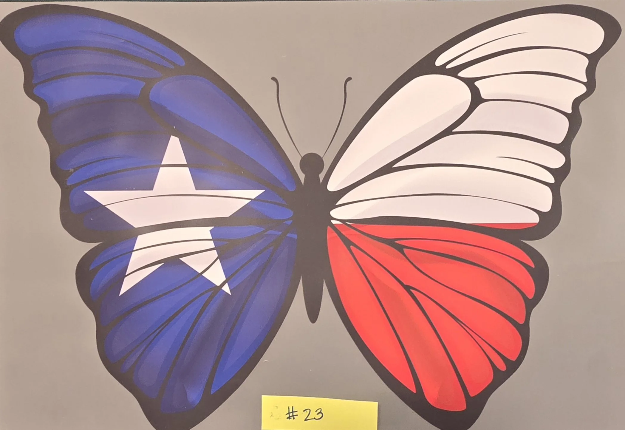 A butterfly with blue and white wings on the left side and red and white wings on the right side, outlined in black, displayed on a gray background with a yellow label marked '#23' at the bottom.