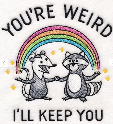Two cartoon raccoons holding paws under a rainbow with the words "You're weird, I’ll keep you" above and below.
