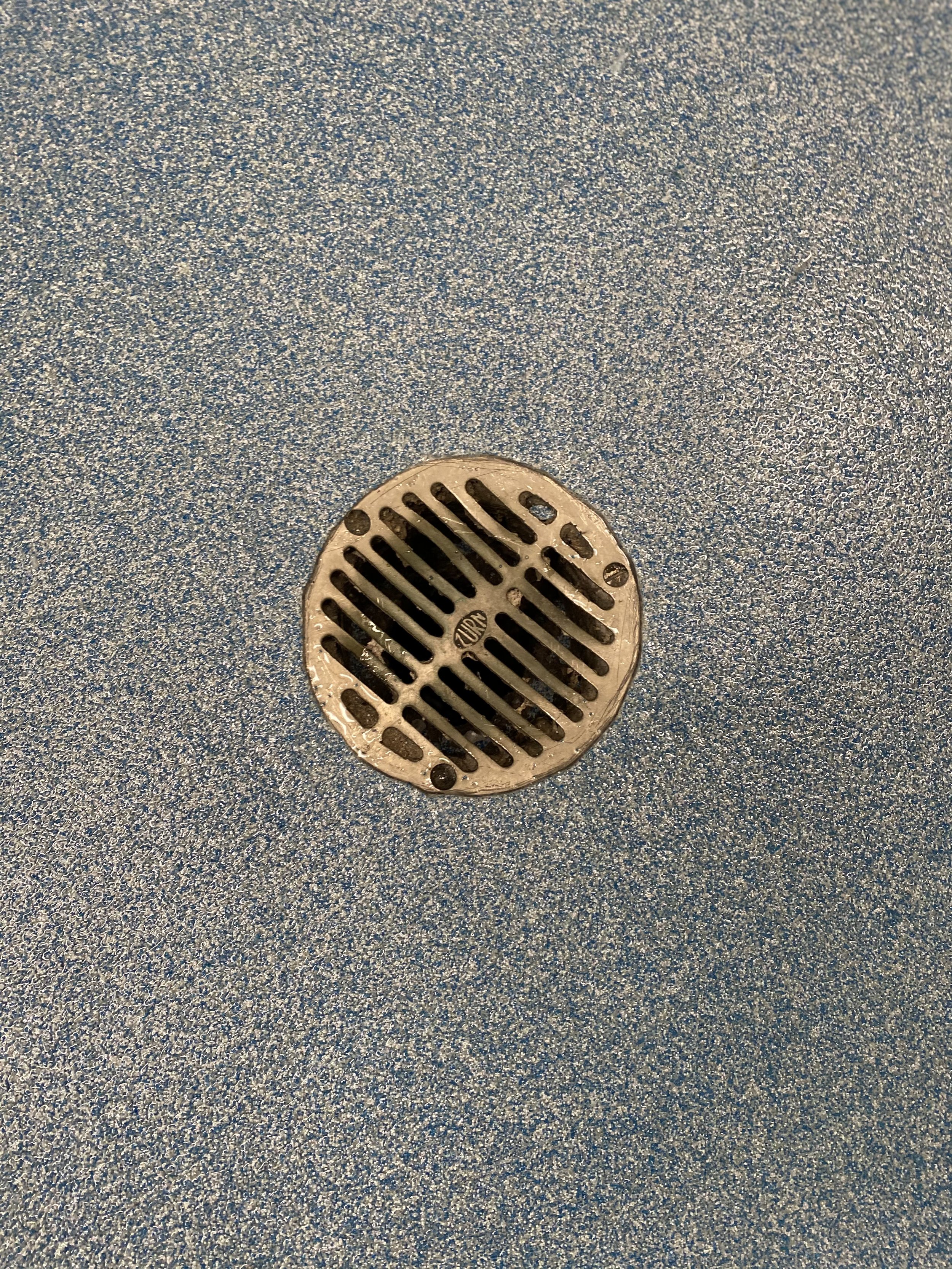 Copy of Elementary School Quartz Floor(2).jpg