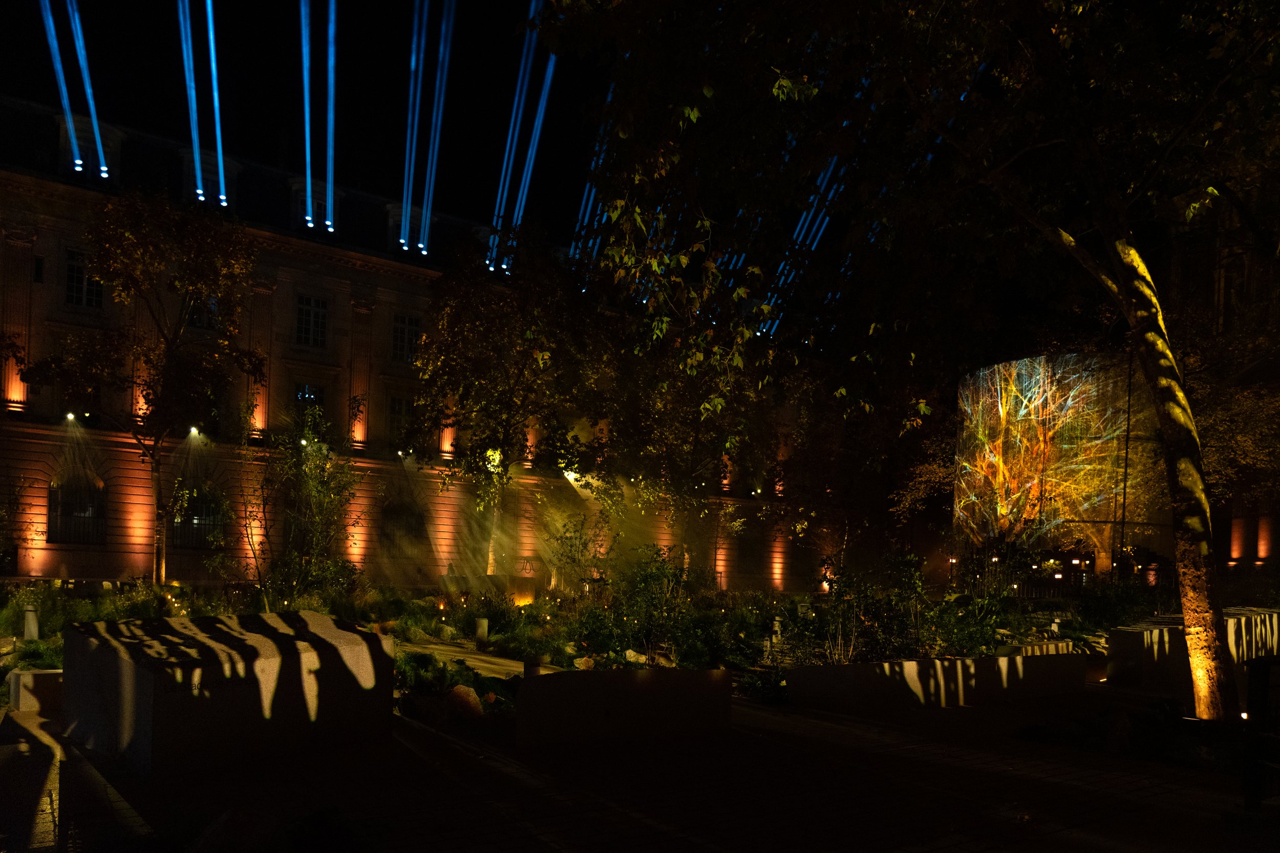 Un jardin éclairé la nuit avec des projections d'images sur un arbre et des lumières colorées sur les bâtiments environnants.