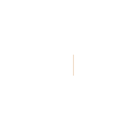 Logo avec deux formes géométriques stylisées et le texte 'ESPACES RECEPTIFS LYON' en blanc sur fond noir.