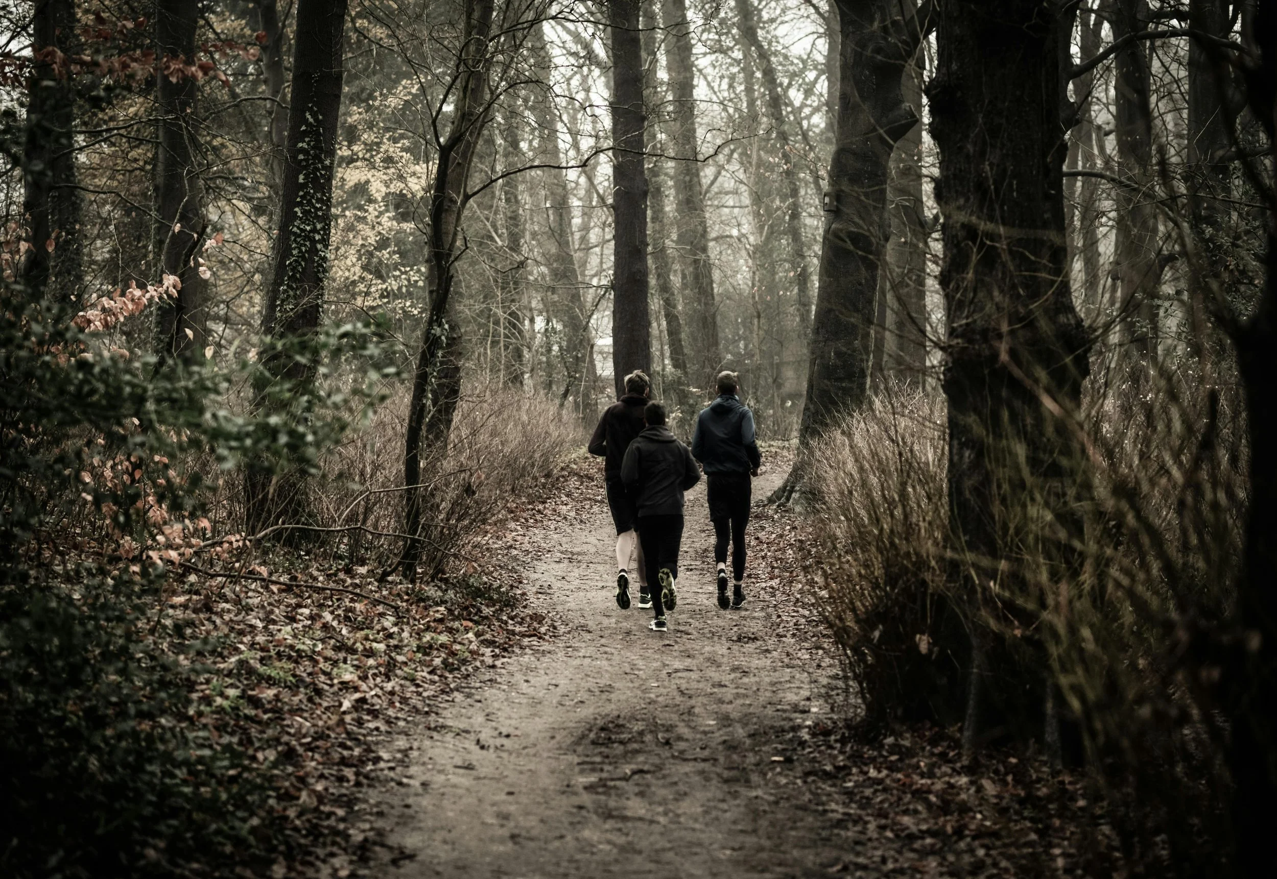 Psilocybin Therapy for Athletes and High Performers: A rant
