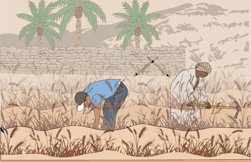 Two farmers working in a field with palm trees and a stone wall in the background. One is bending over, and the other is using a hoe.