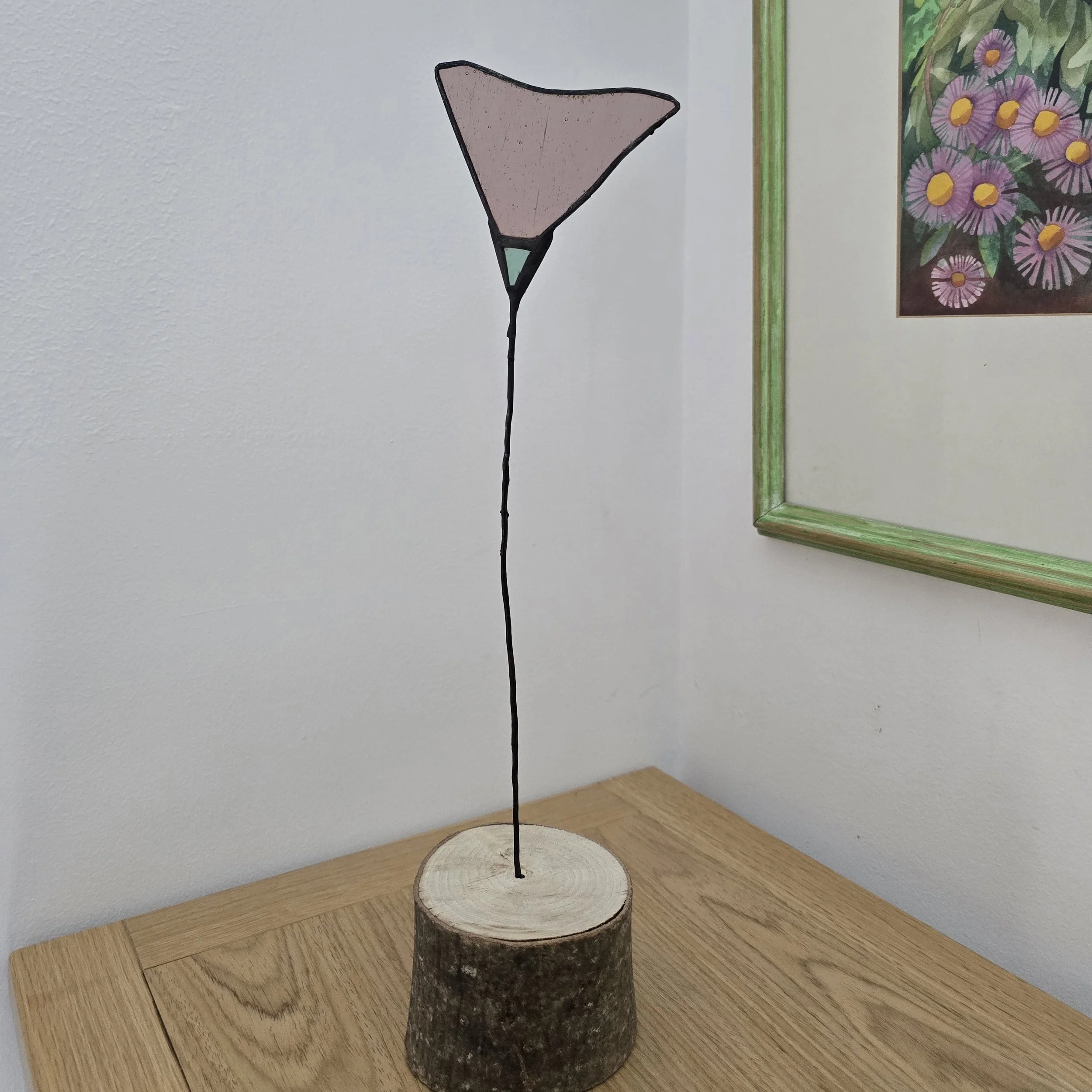 Large pink poppy.jpg