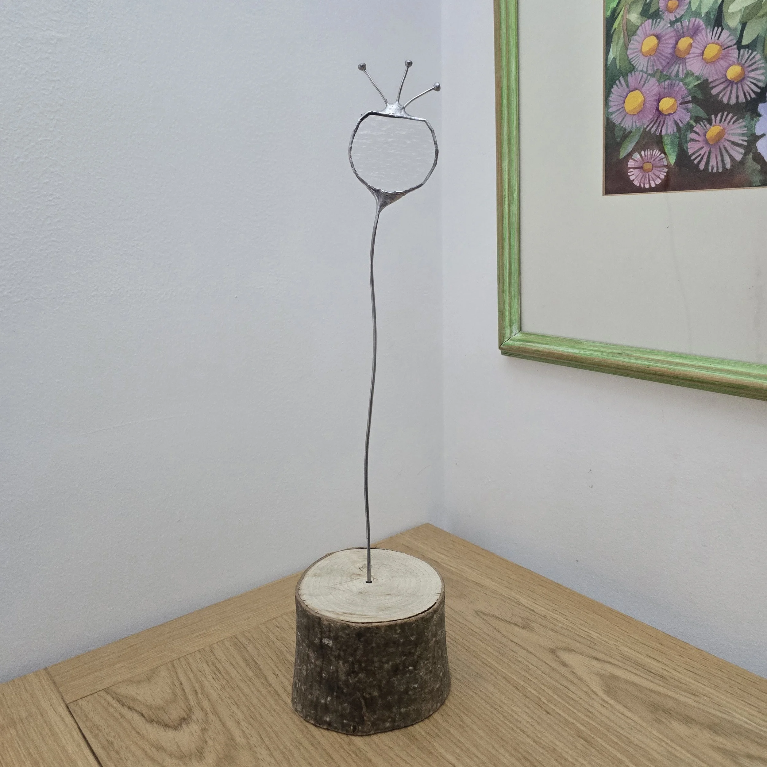 Clear textured seed pod.jpg