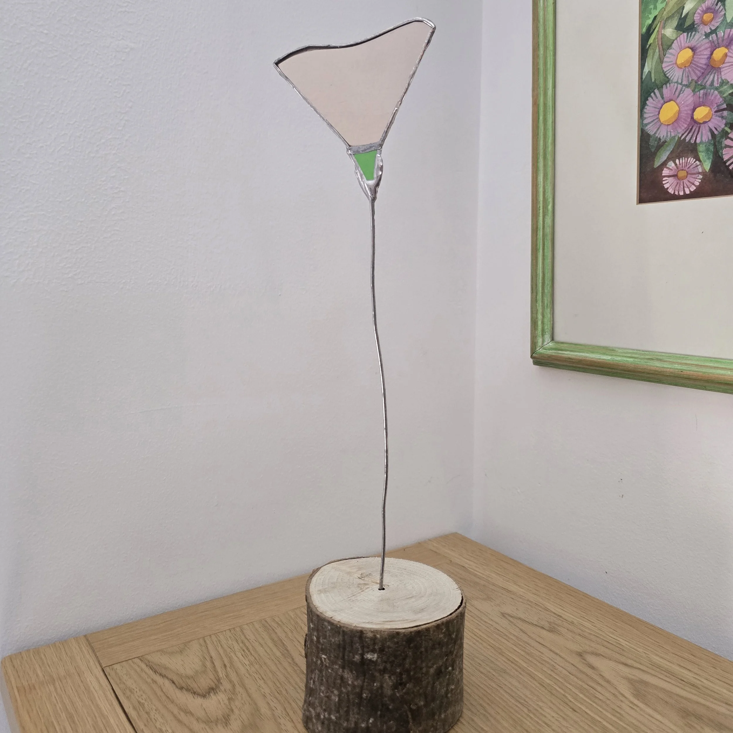 Large pale pink poppy.jpg