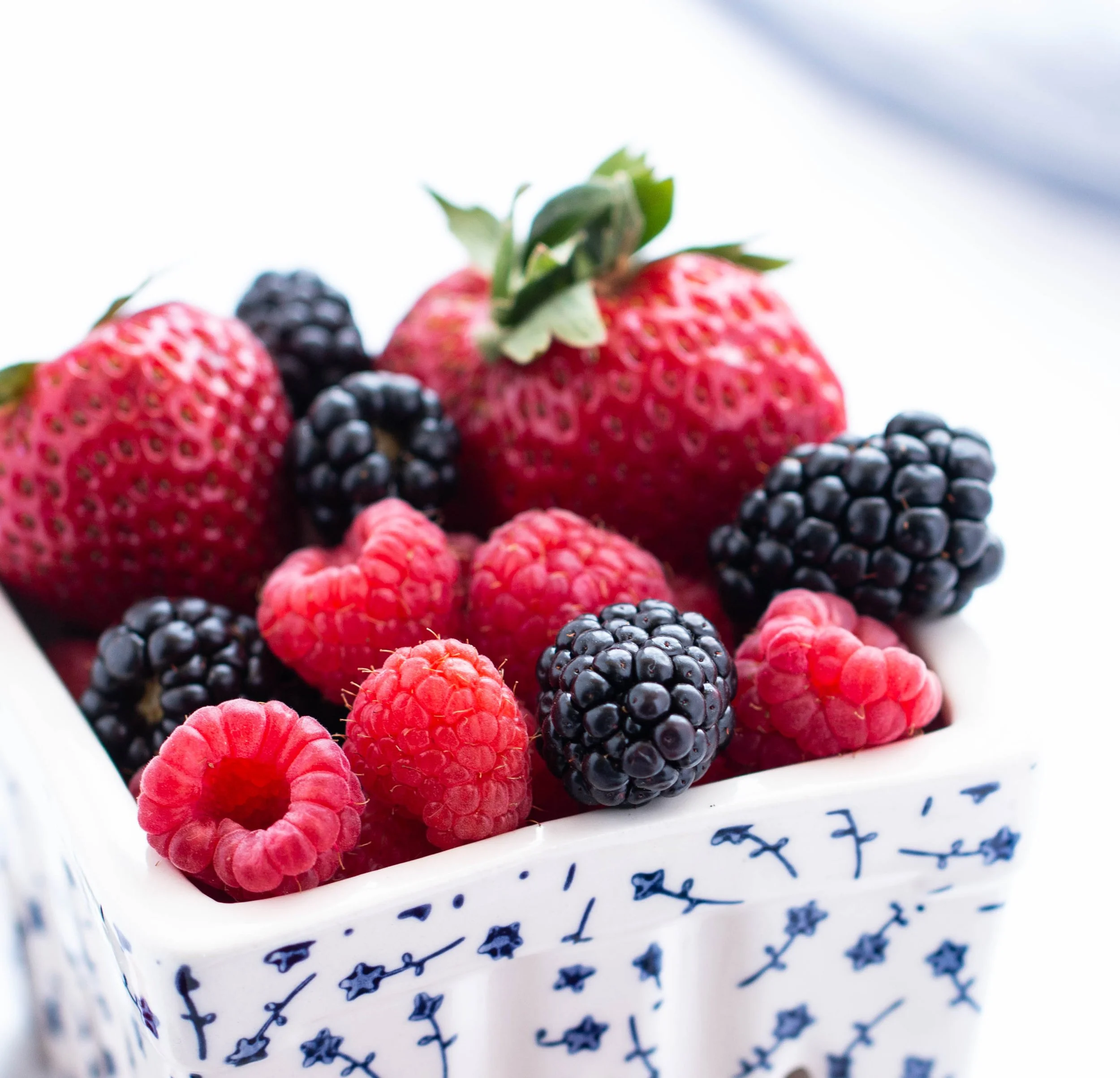 Edible Summer 2022-711.jpg