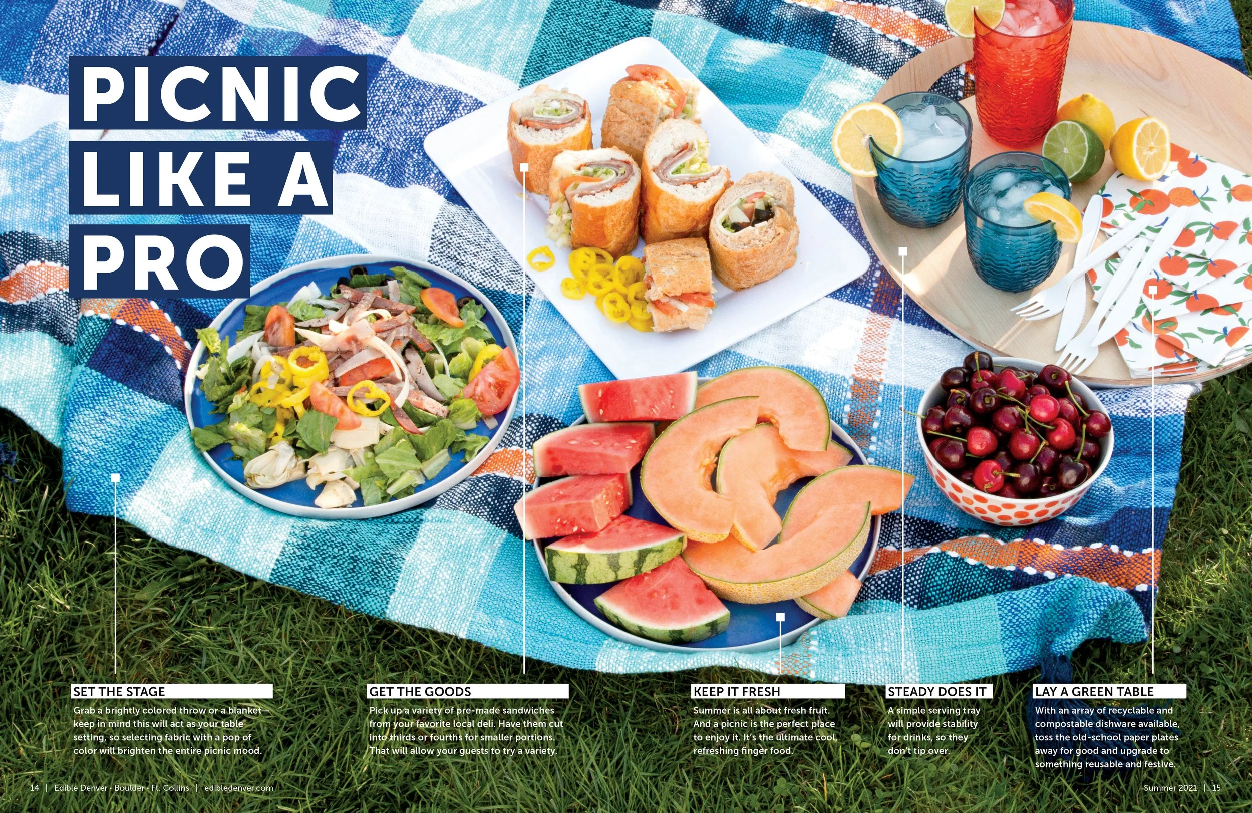 Edible Denver Summer 2021 023_picnic.jpg