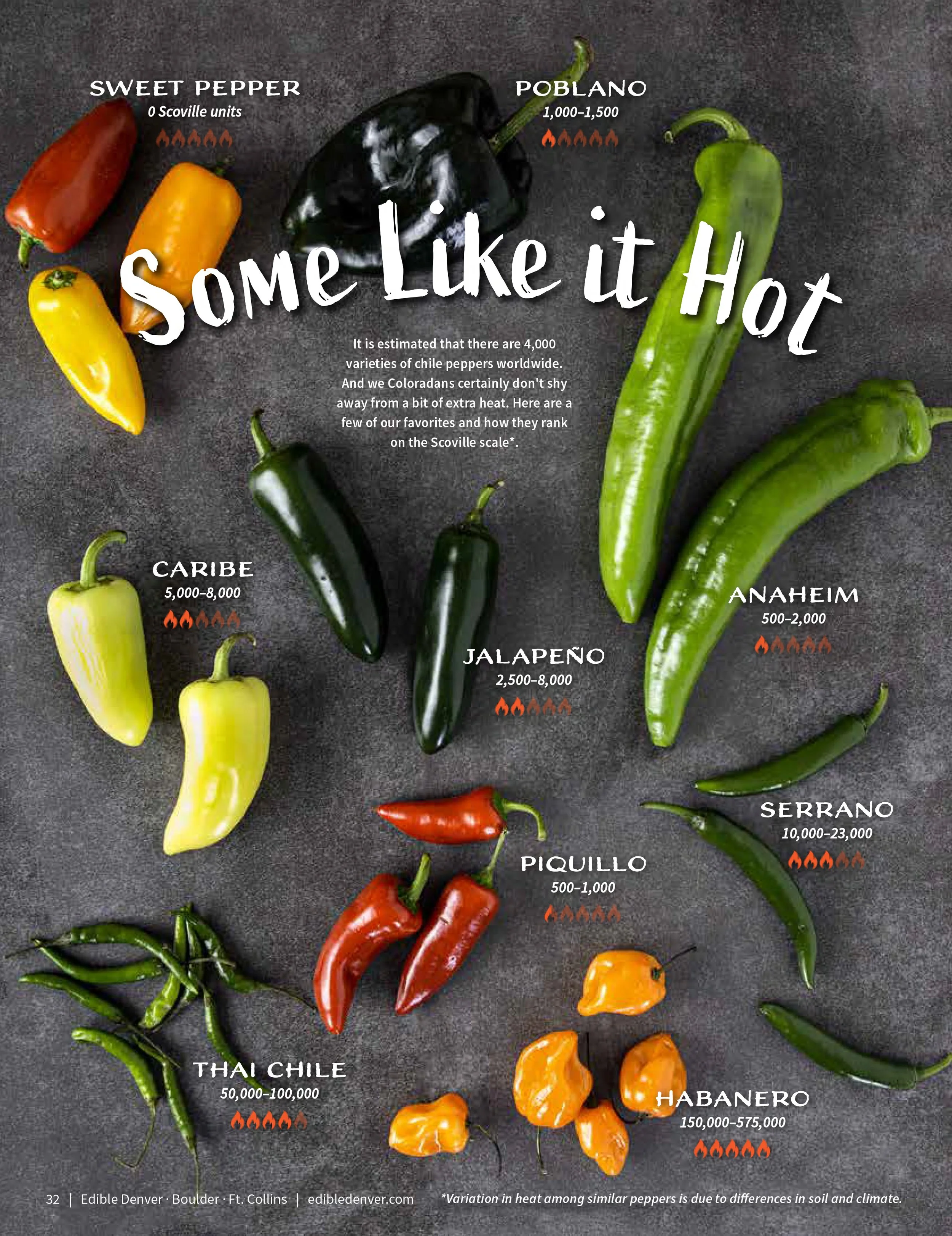 Edible Denver Fall 2022 023_low res-34.jpg