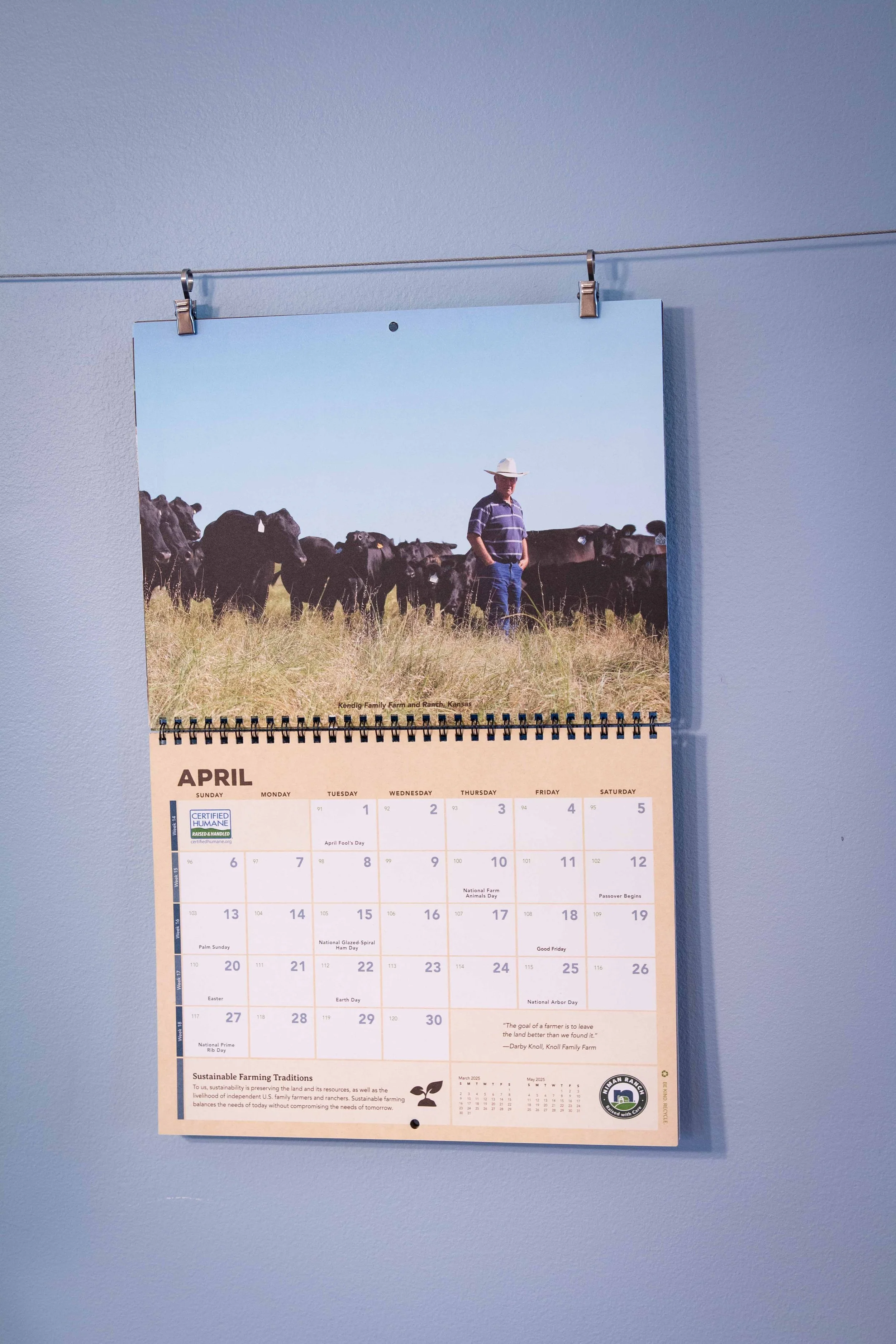 Tina Zegel Design Photo Portfolio 005.jpg