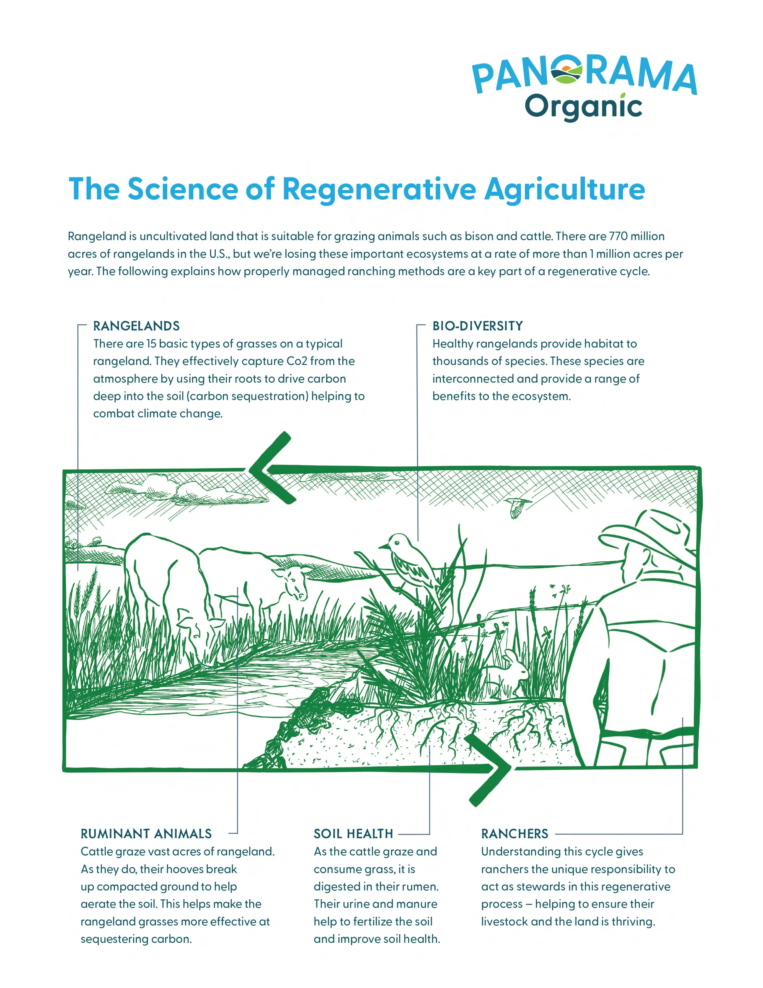 Regenerative_Ag_Illustration_008-2.jpg
