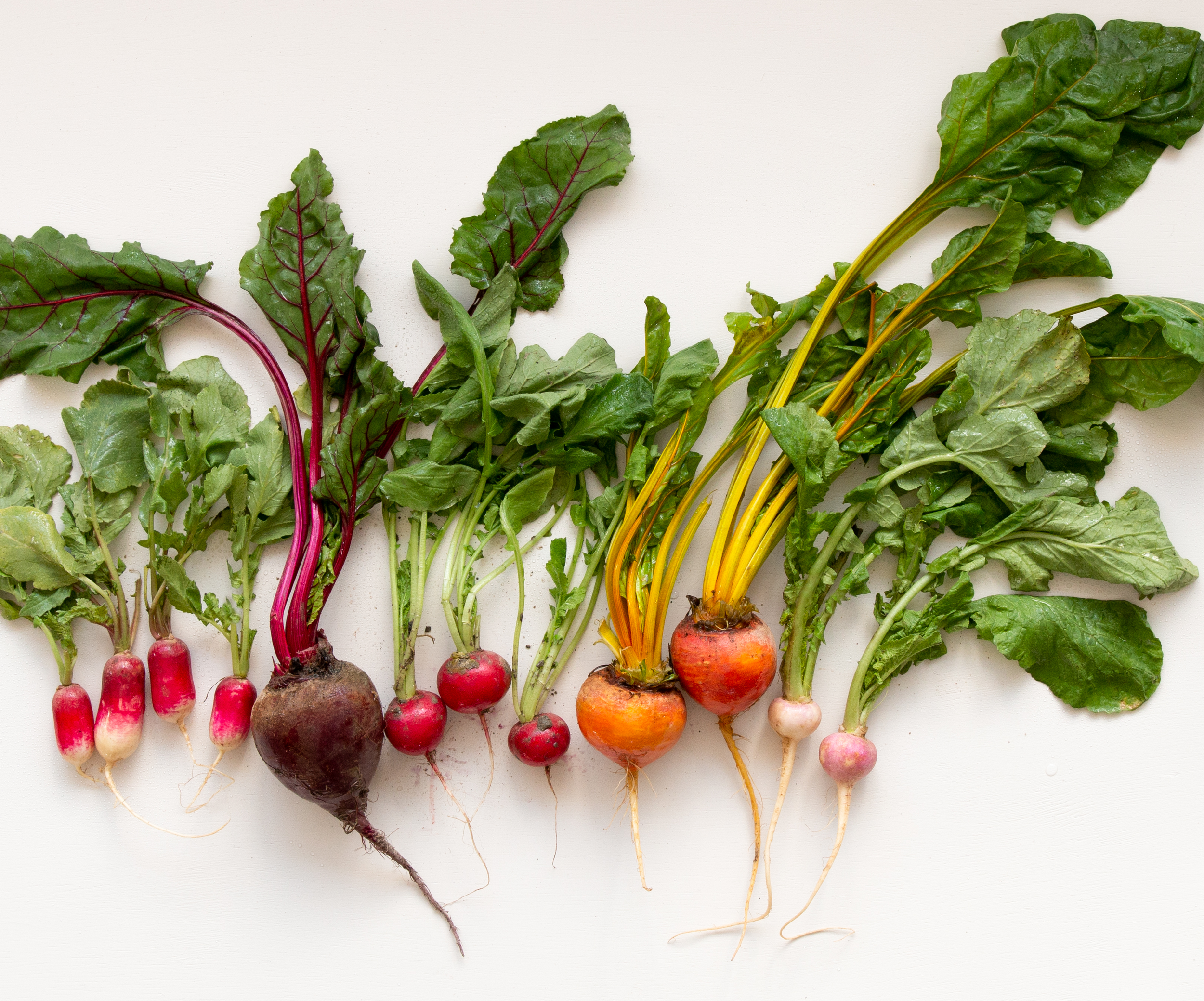 Edible Spring 2020 HR-.png