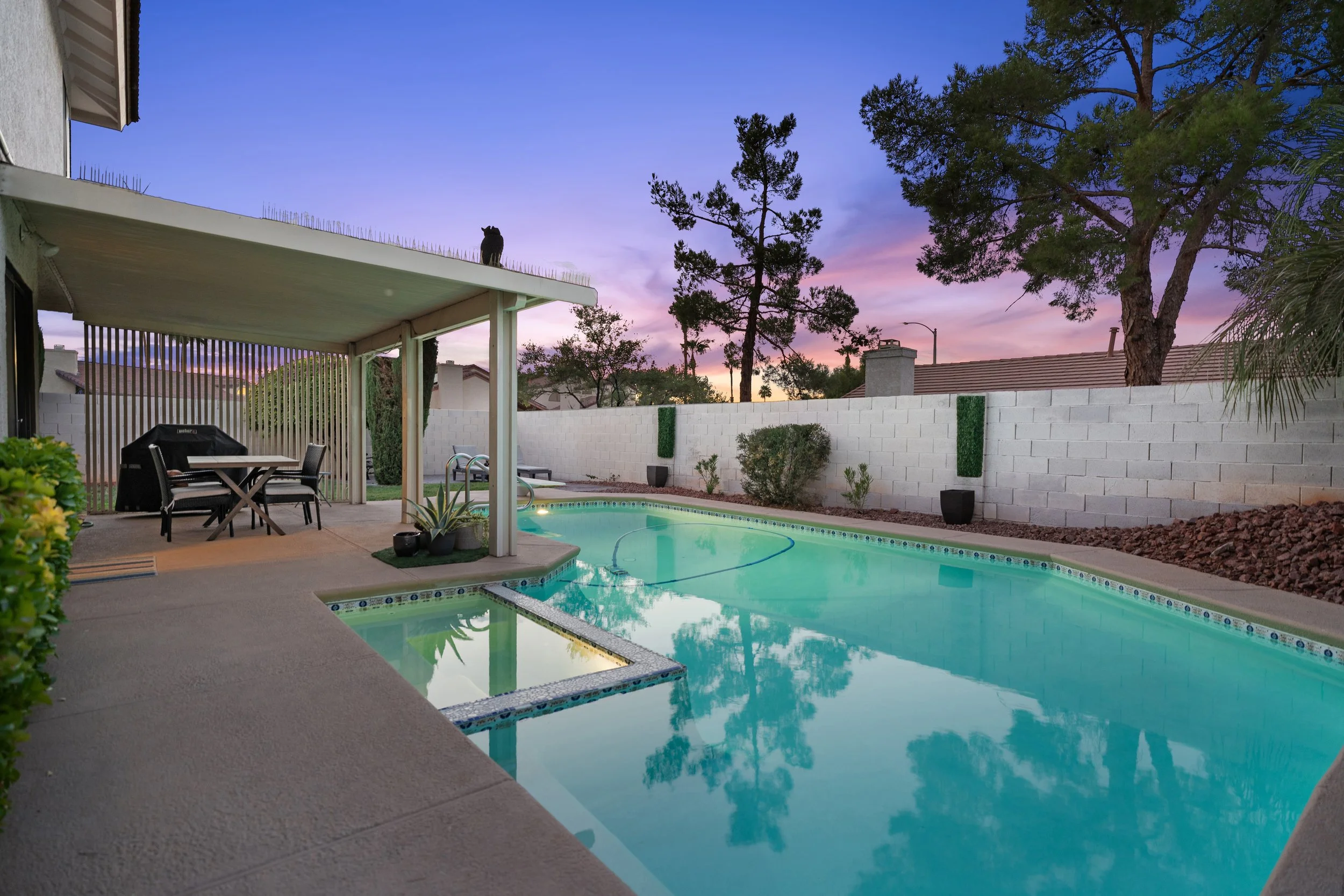 Modified Backyard Twilight 1.jpg