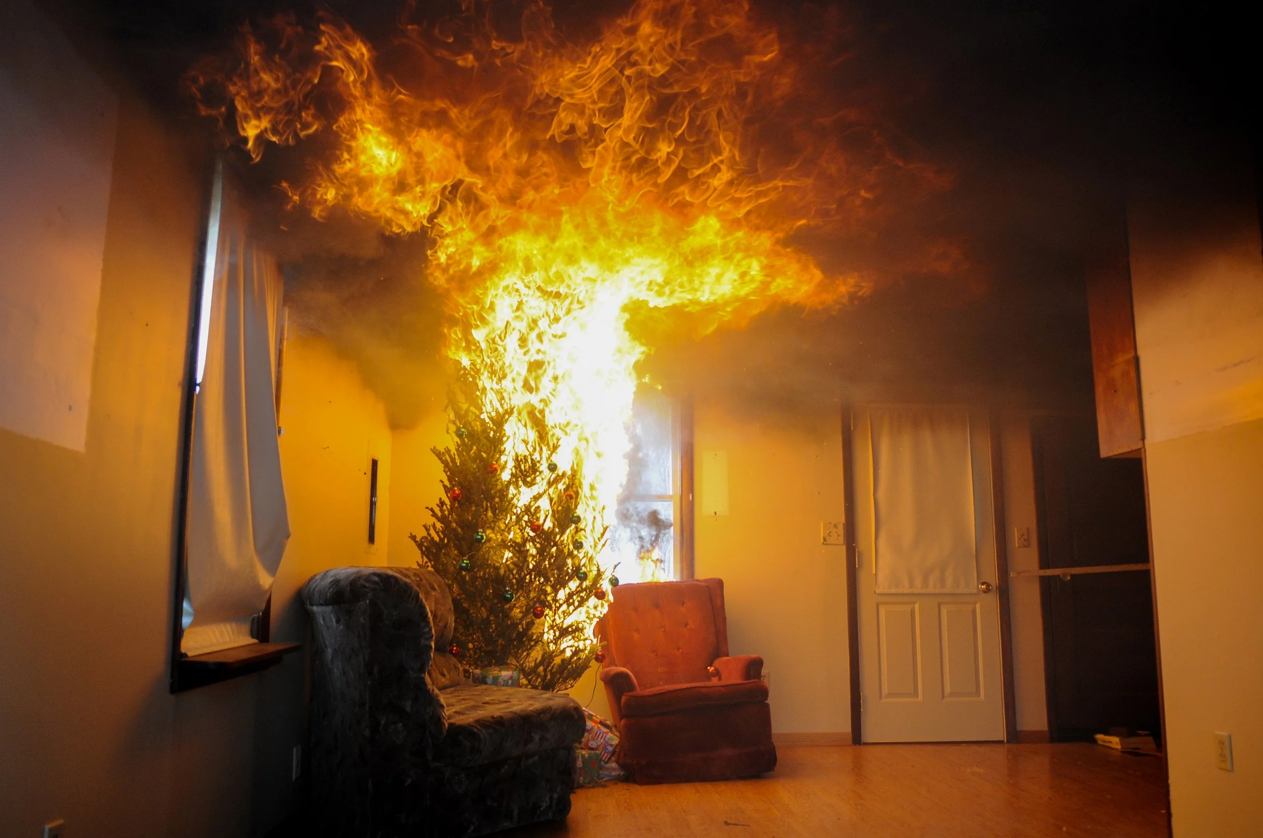 treefire21_0119a.jpg