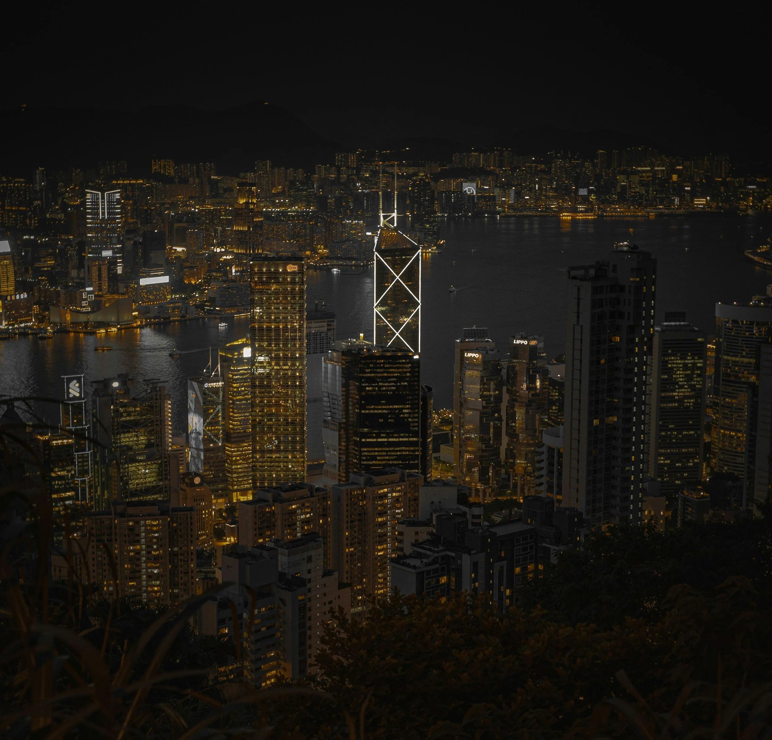 unsplash-image-2WNmuO5O-a0.jpg