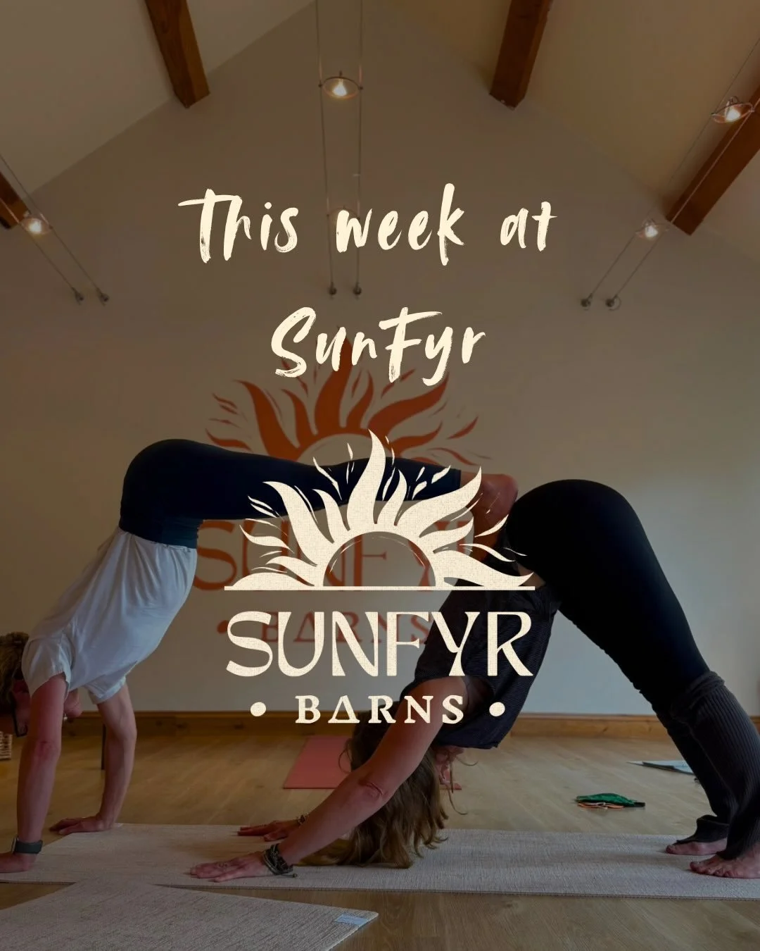 This week at SunFyr ✨ we have a full schedule of yoga, Qigong, and sessions for all ages, from energising morning flows to calming evening classes, plus family and kids offerings throughout the week - with weekend sessions including a soothing Soundb