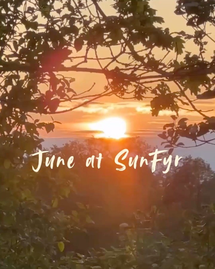 ✨ WHAT&rsquo;S AHEAD AT SUNFYR THIS MONTH ✨

July is shaping up to be a month of connection, growth and deep nourishment at SunFyr 🤍

Alongside our regular timetable of yoga classes, therapies and wellness sessions, we&rsquo;re welcoming a beautiful