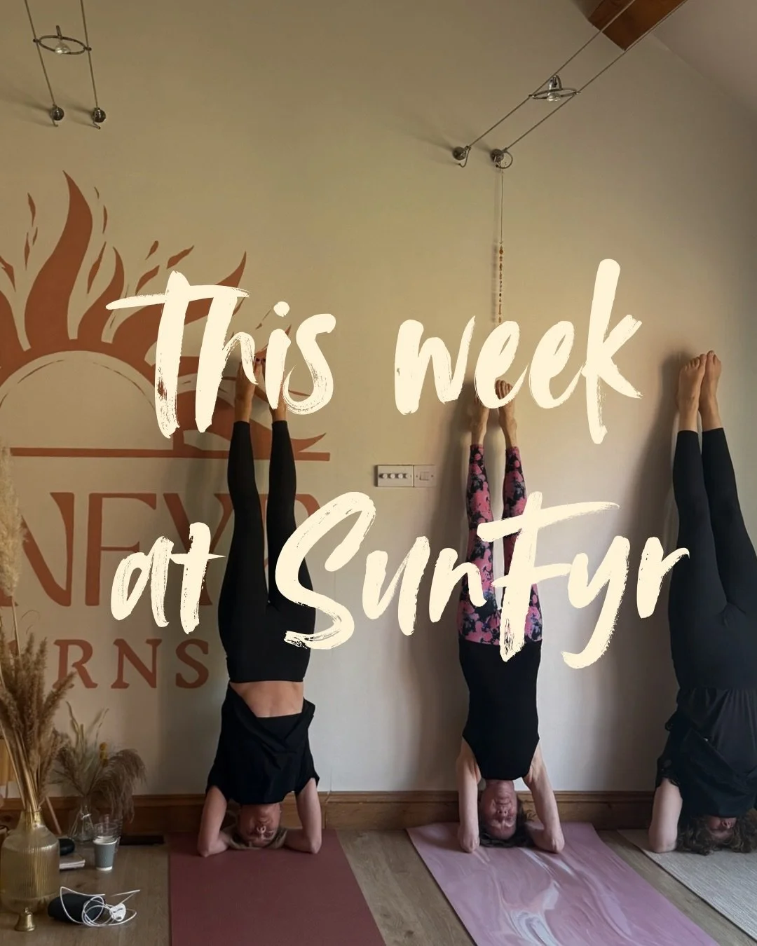 ✨ SUNFYR WEEKLY SCHEDULE ✨

Another week of movement, healing and connection awaits at SunFyr 🤍

Alongside our regular timetable of yoga, qigong, pregnancy and postnatal classes, children&rsquo;s sessions, therapies and wellbeing practices, we&rsquo